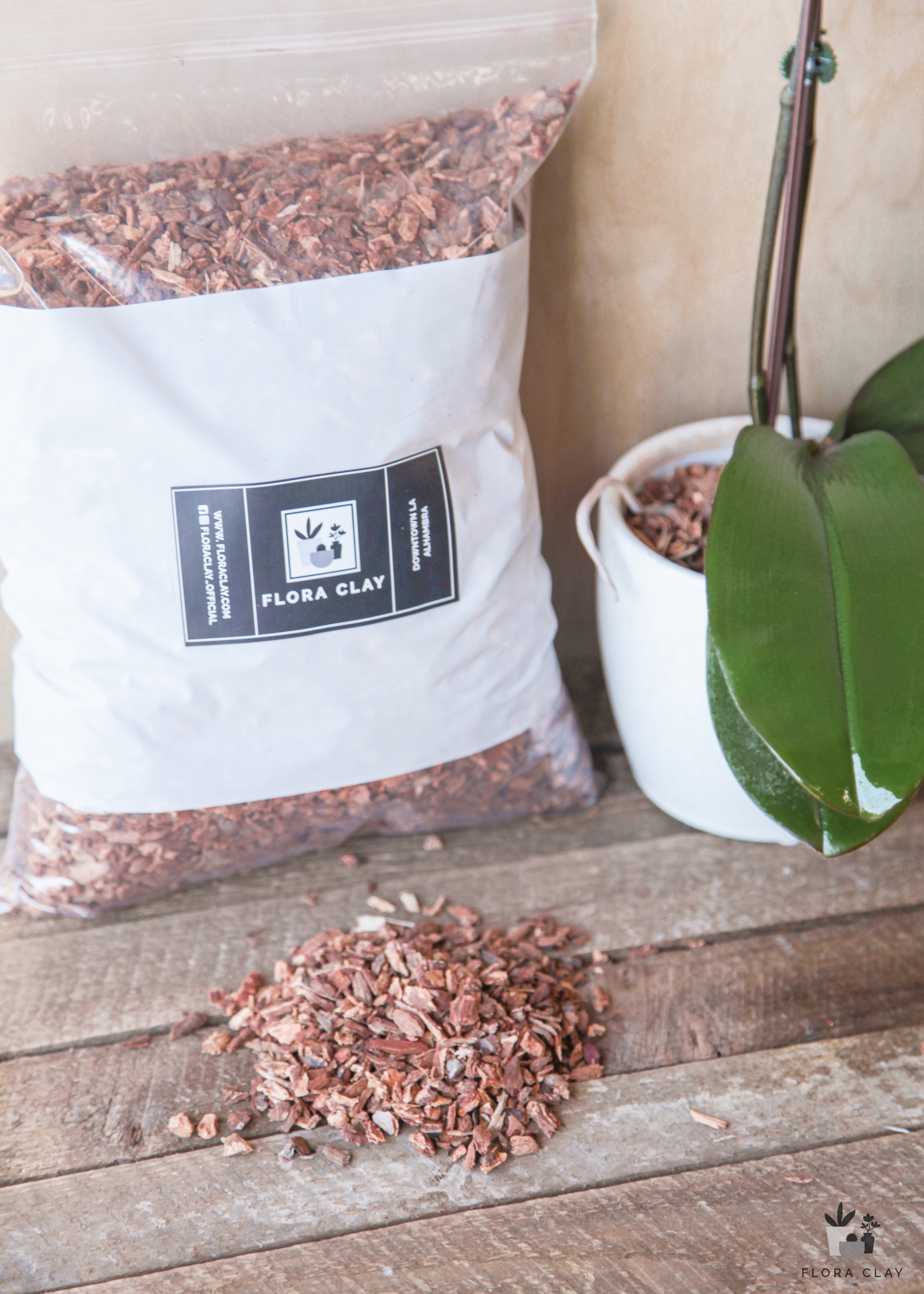 bark-diy-floraclay-2.jpg