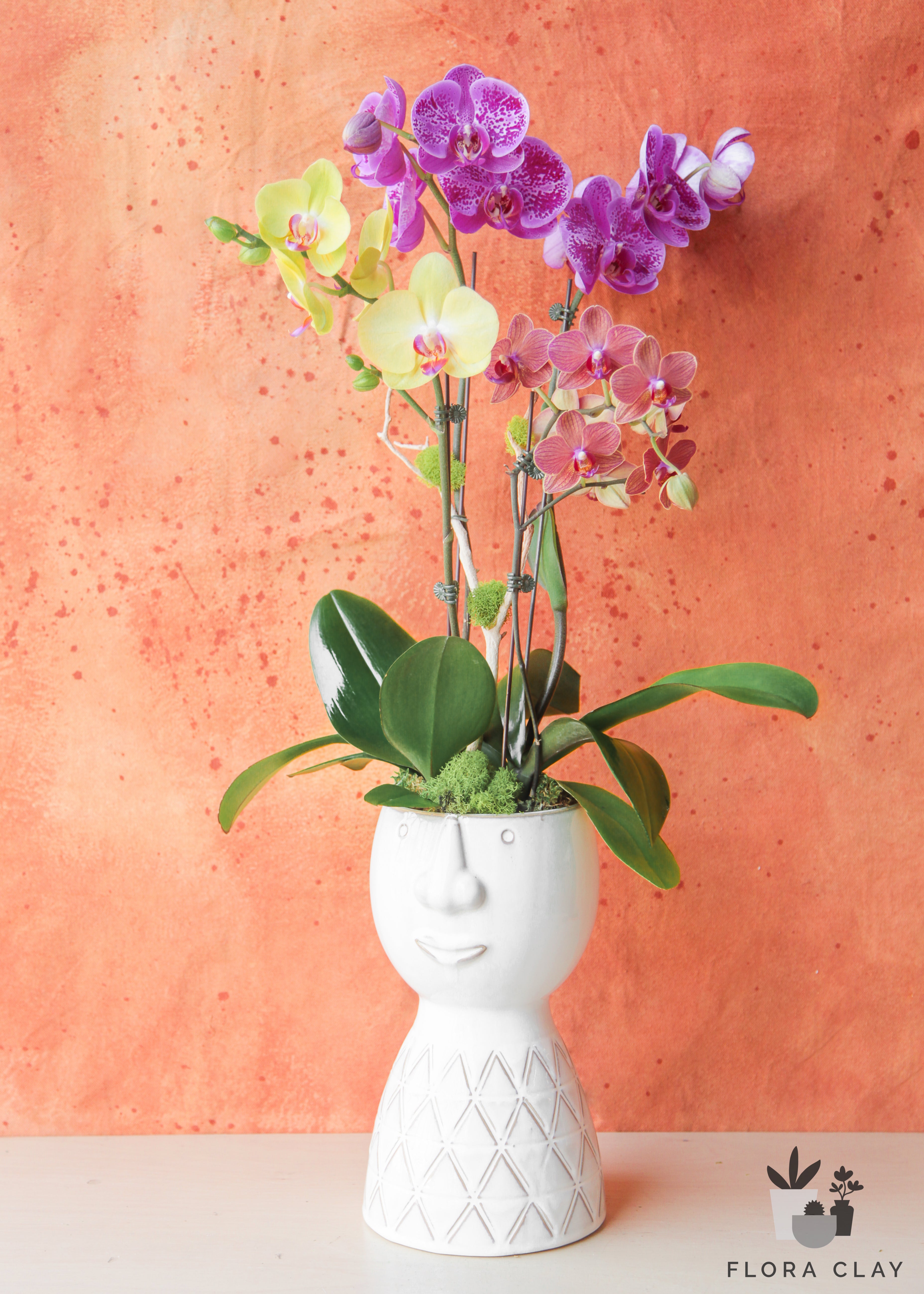 beautiful-mind-orchid-arrangement-floraclay-1.jpg