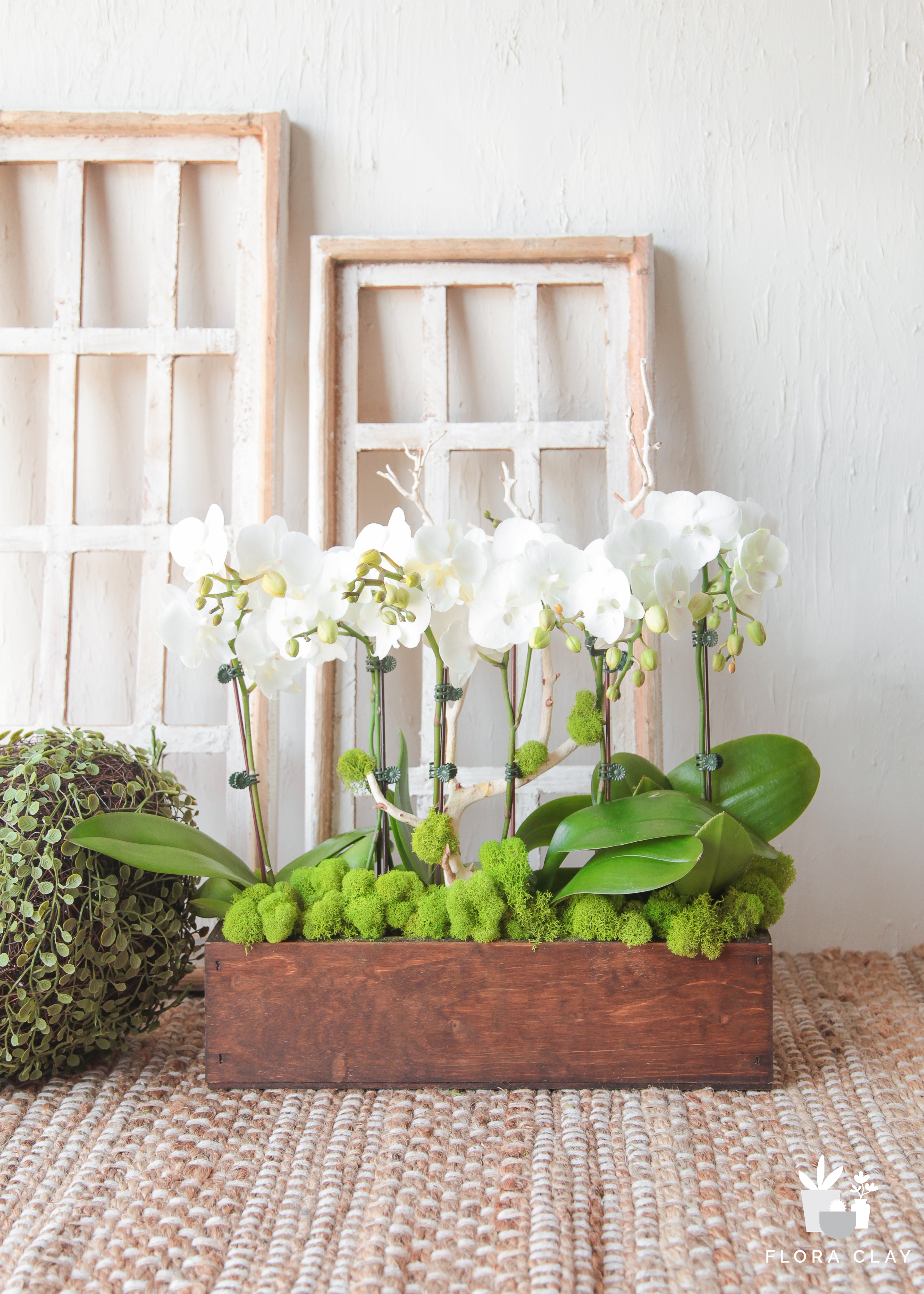 best-place-orchid-arrangement-floraclay-1.jpg
