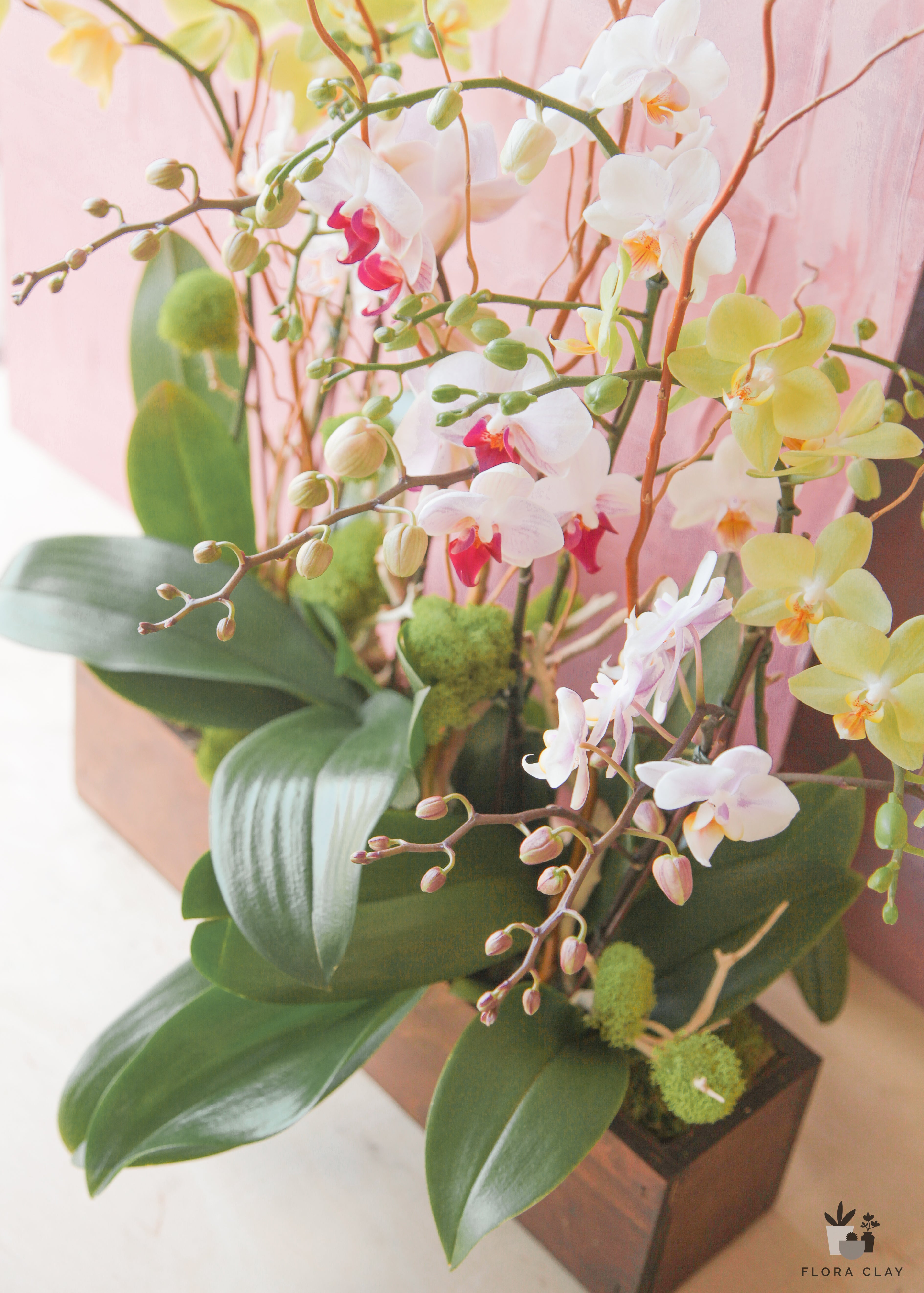 better-together-orchid-arrangement-floraclay-5.jpg