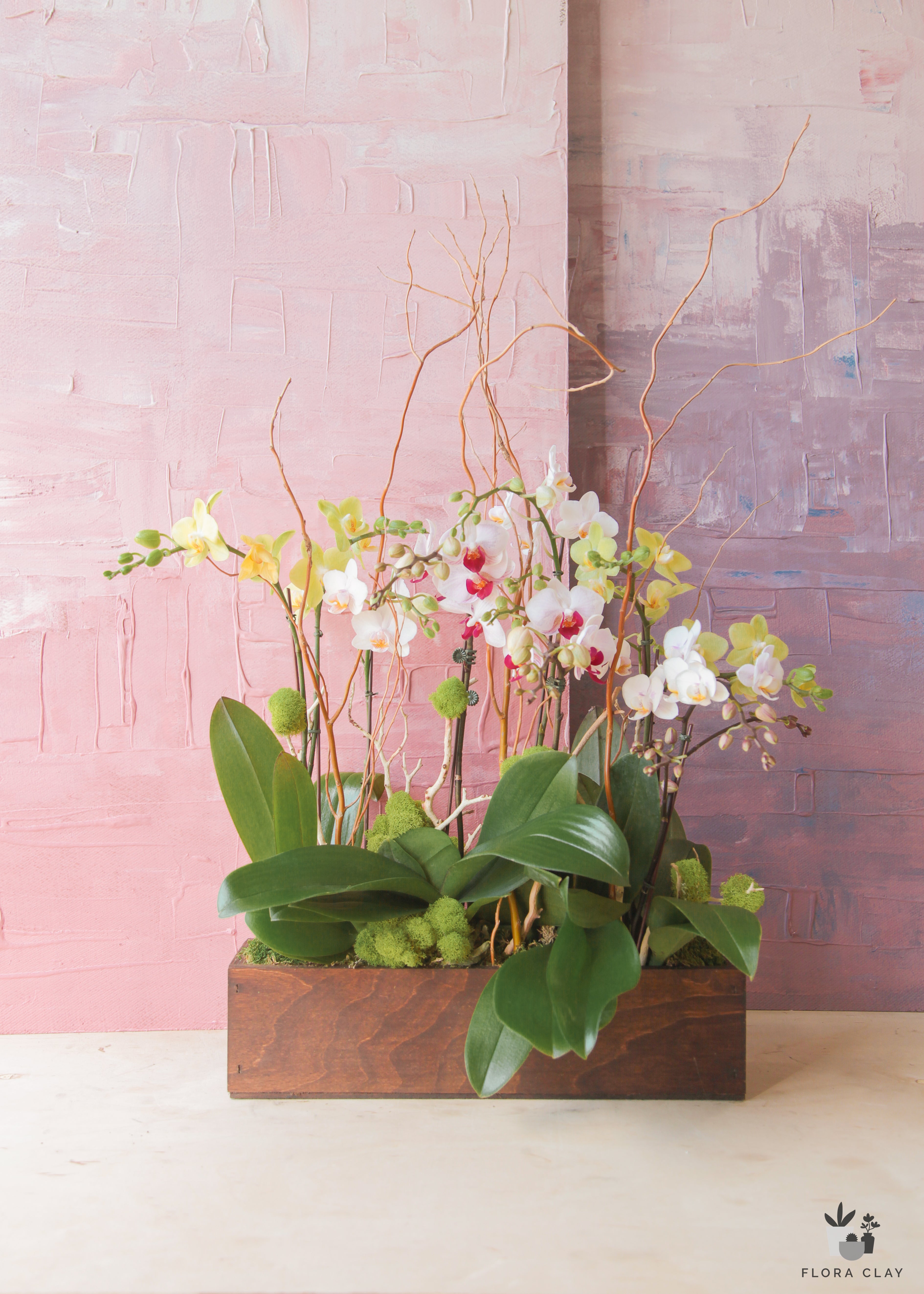 better-together-orchid-arrangement-floraclay-6.jpg
