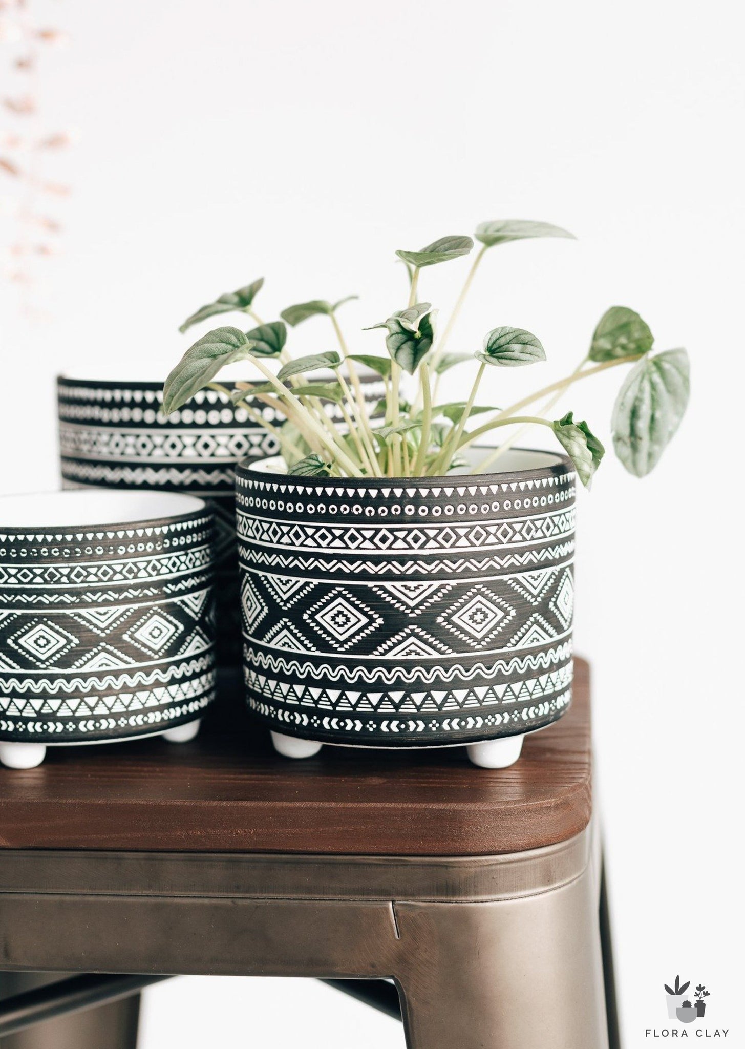 black ceramic pots for plants Black Bohemian Terracotta