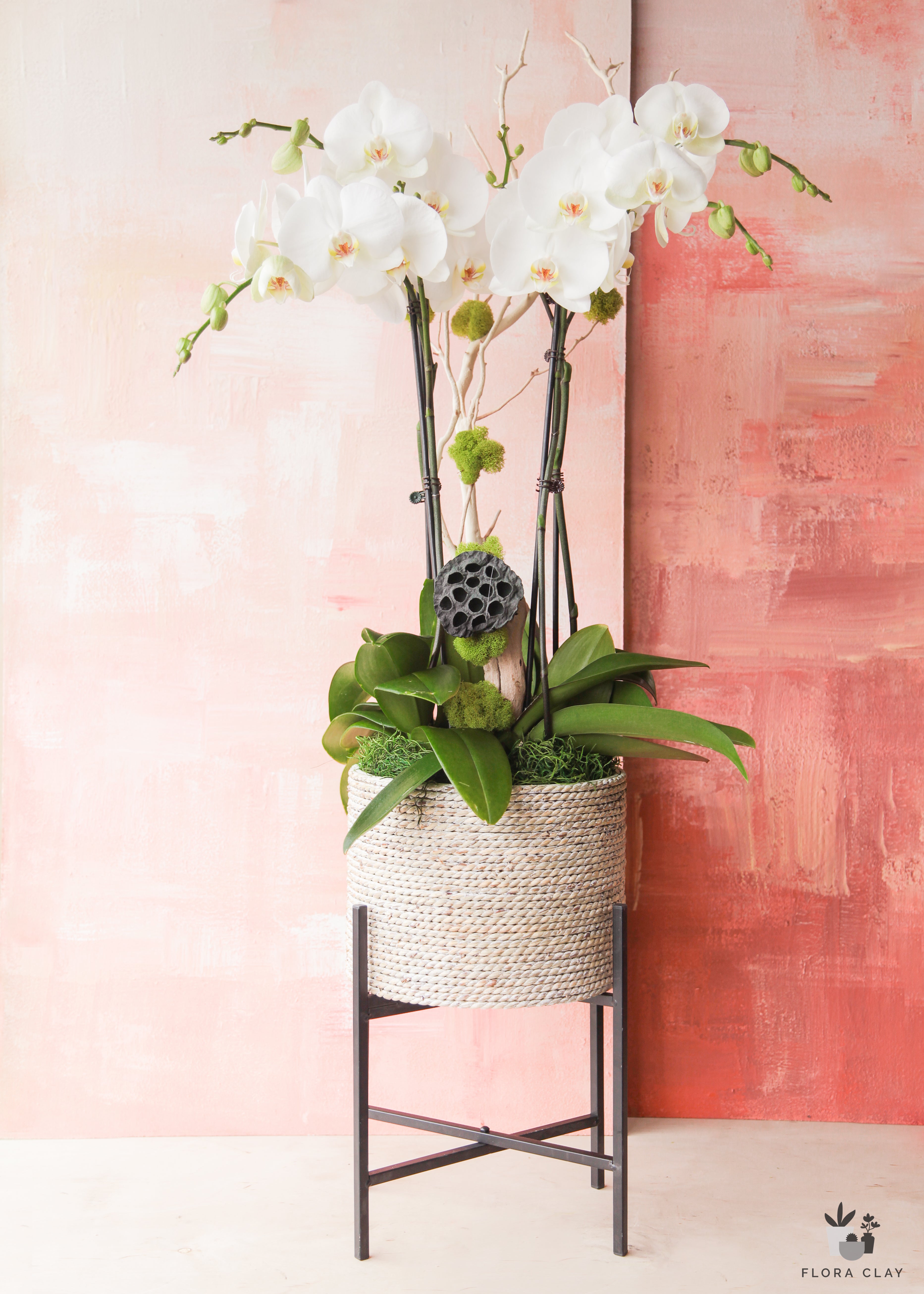 blooming-day-orchid-arrangement-floraclay-1.jpg