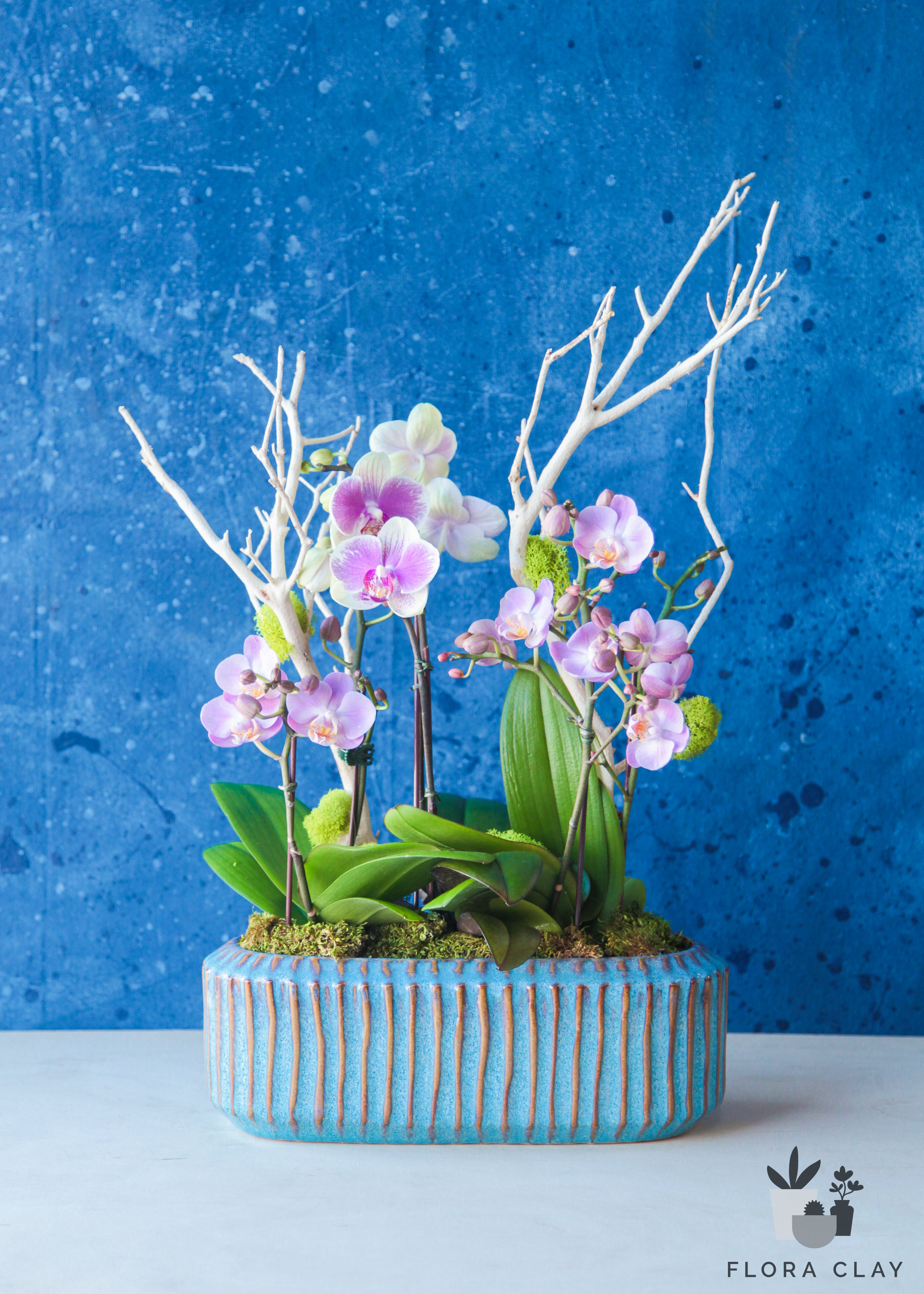 blueberry-orchid-arrangement-floraclay-1.jpg