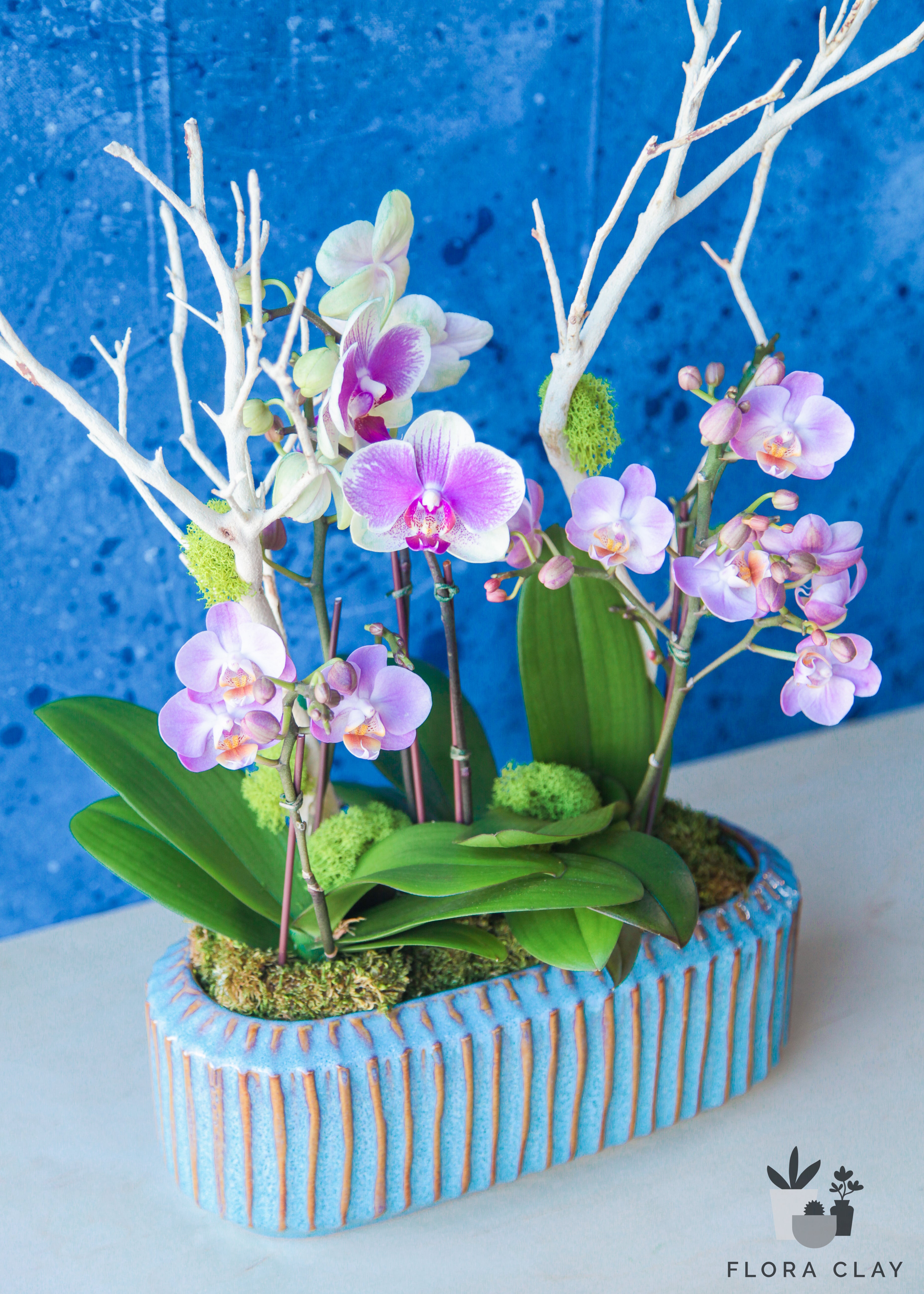 blueberry-orchid-arrangement-floraclay-4.jpg
