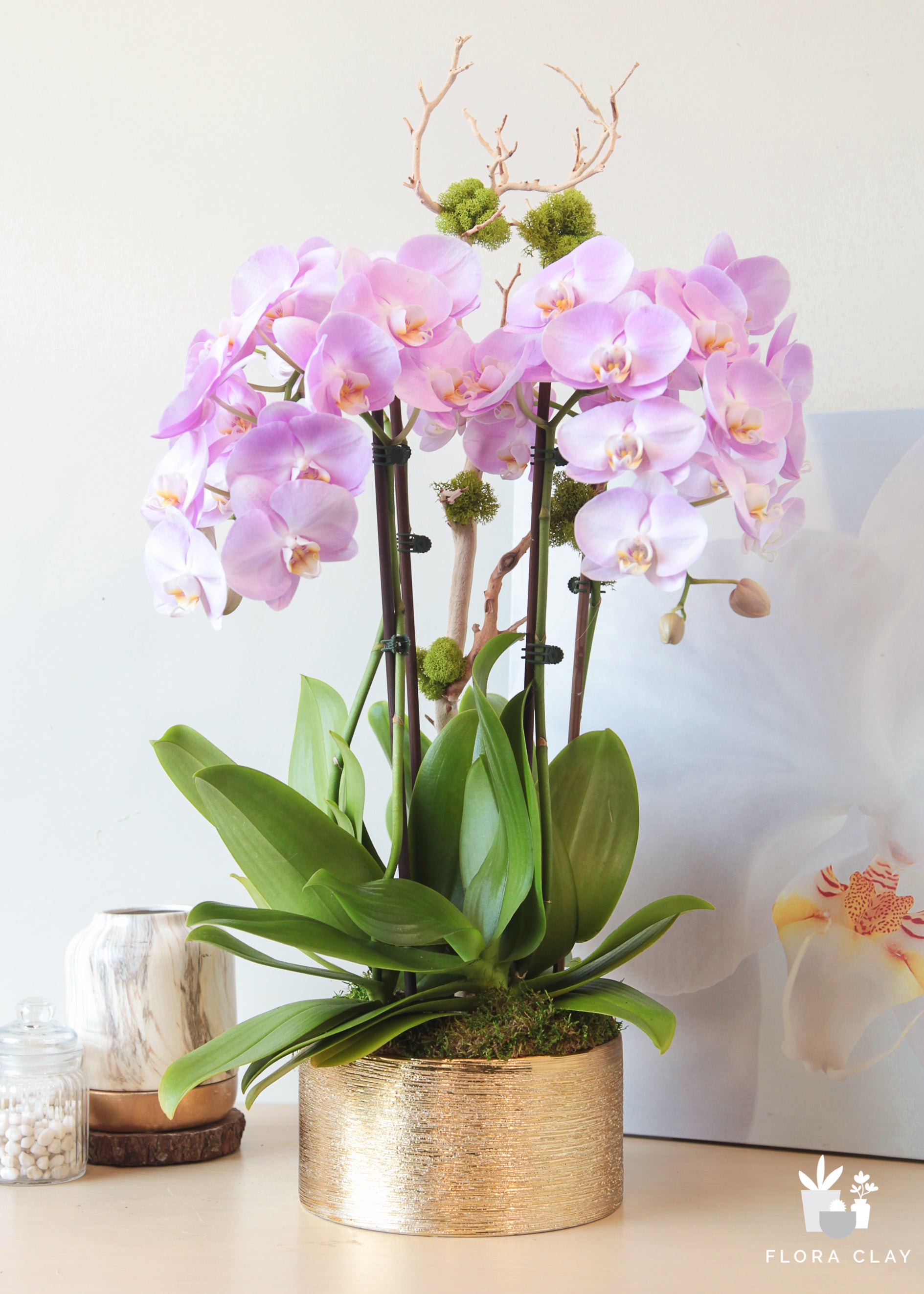 blushed-cotton-orchid-arrangement-floraclay-1.jpg
