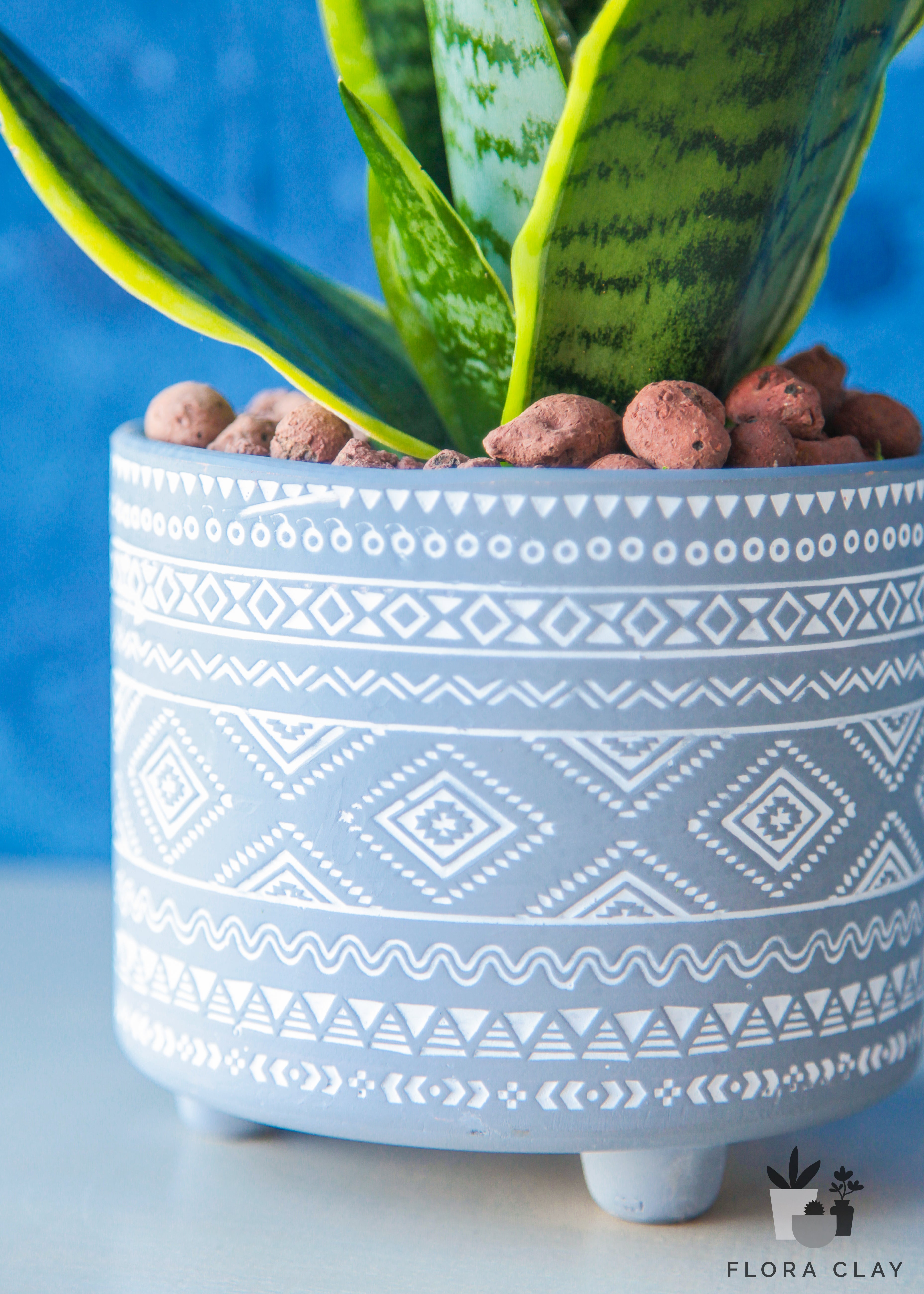 snake plant clay pot Bohemian Snake