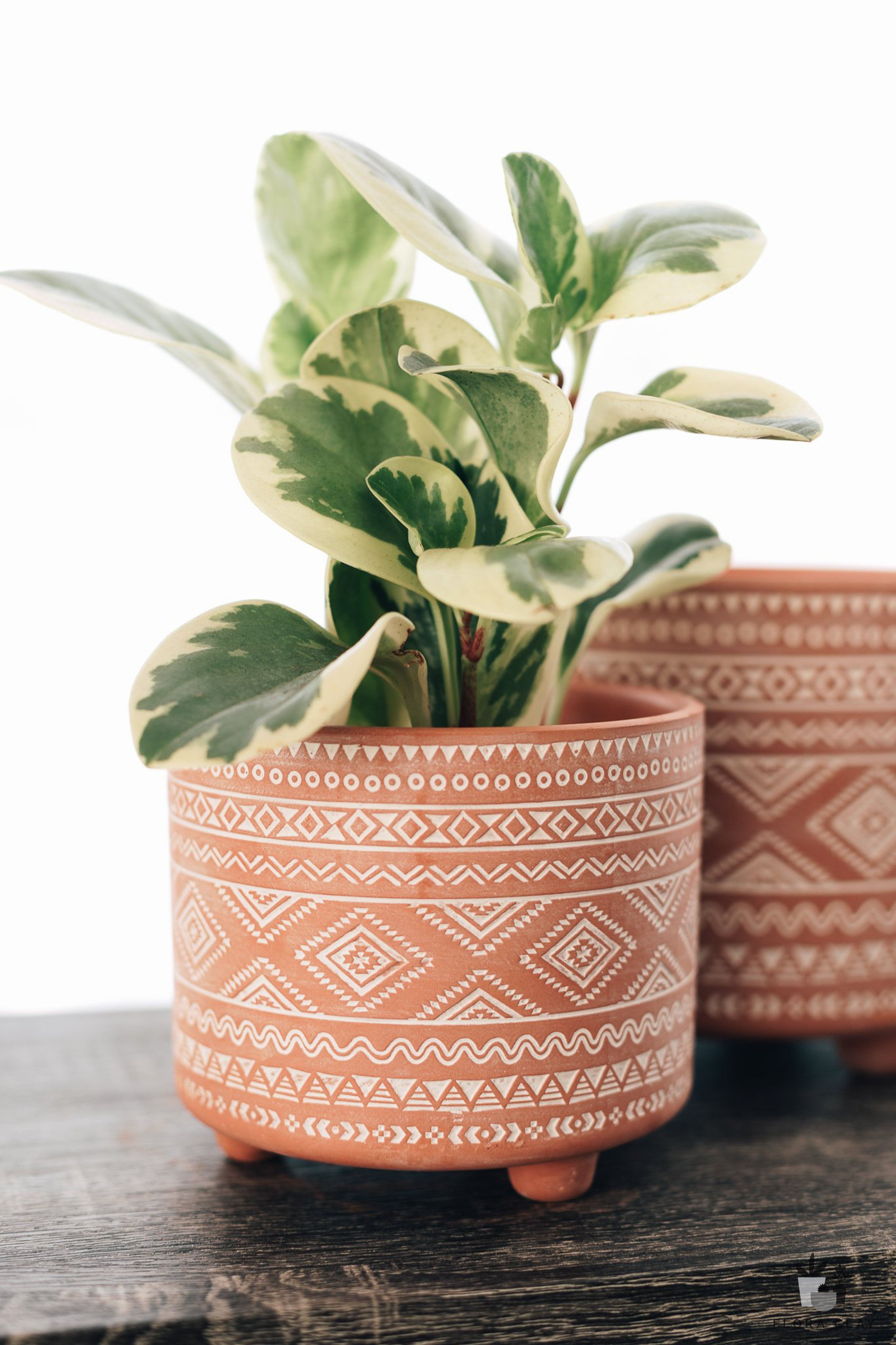bohemian planter pots Aashu 2 Pieces Pot Planter Set Dakota Fields Color: Terracotta/White