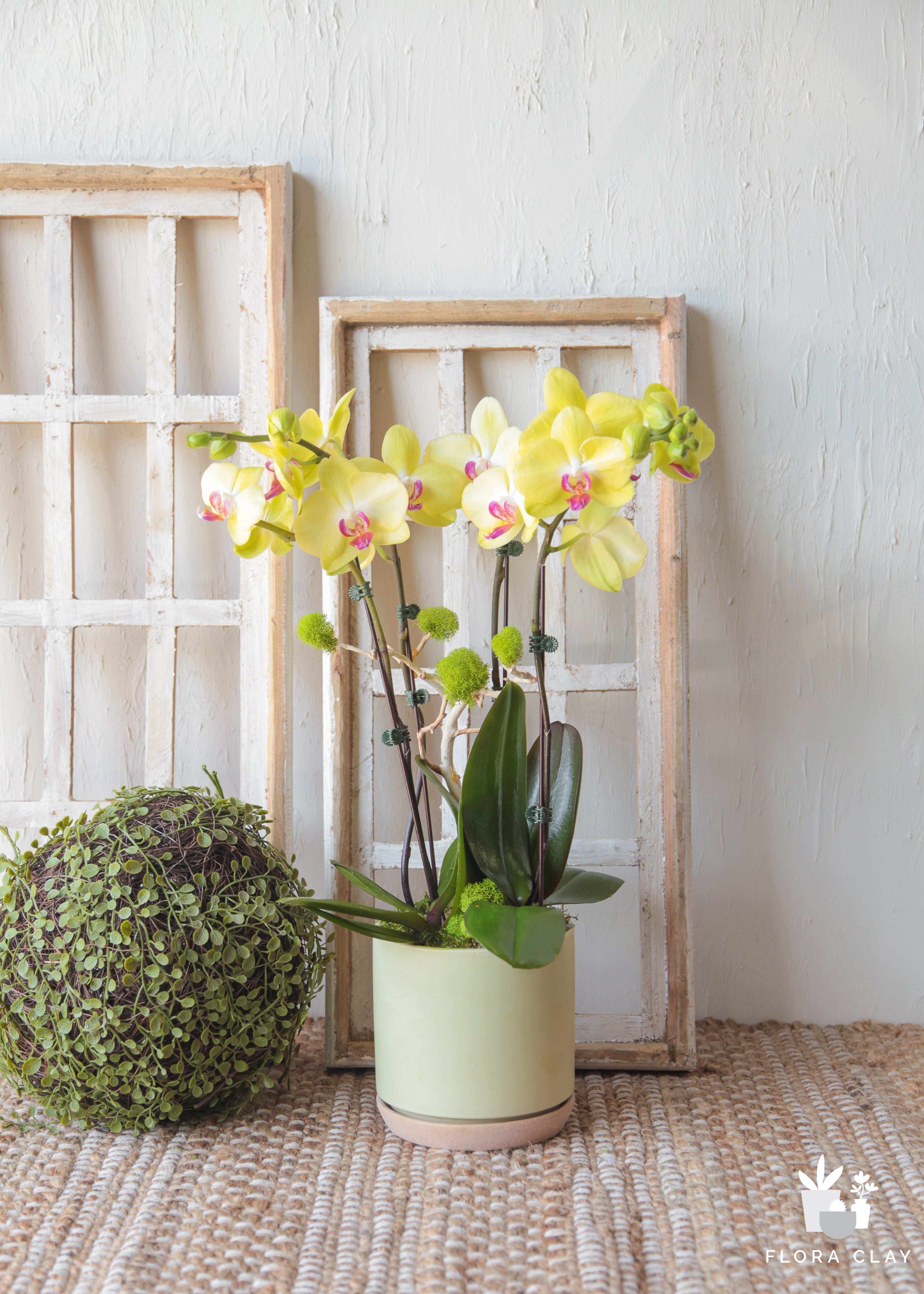 buttermint-orchid-arrangement-floraclay-3.jpg