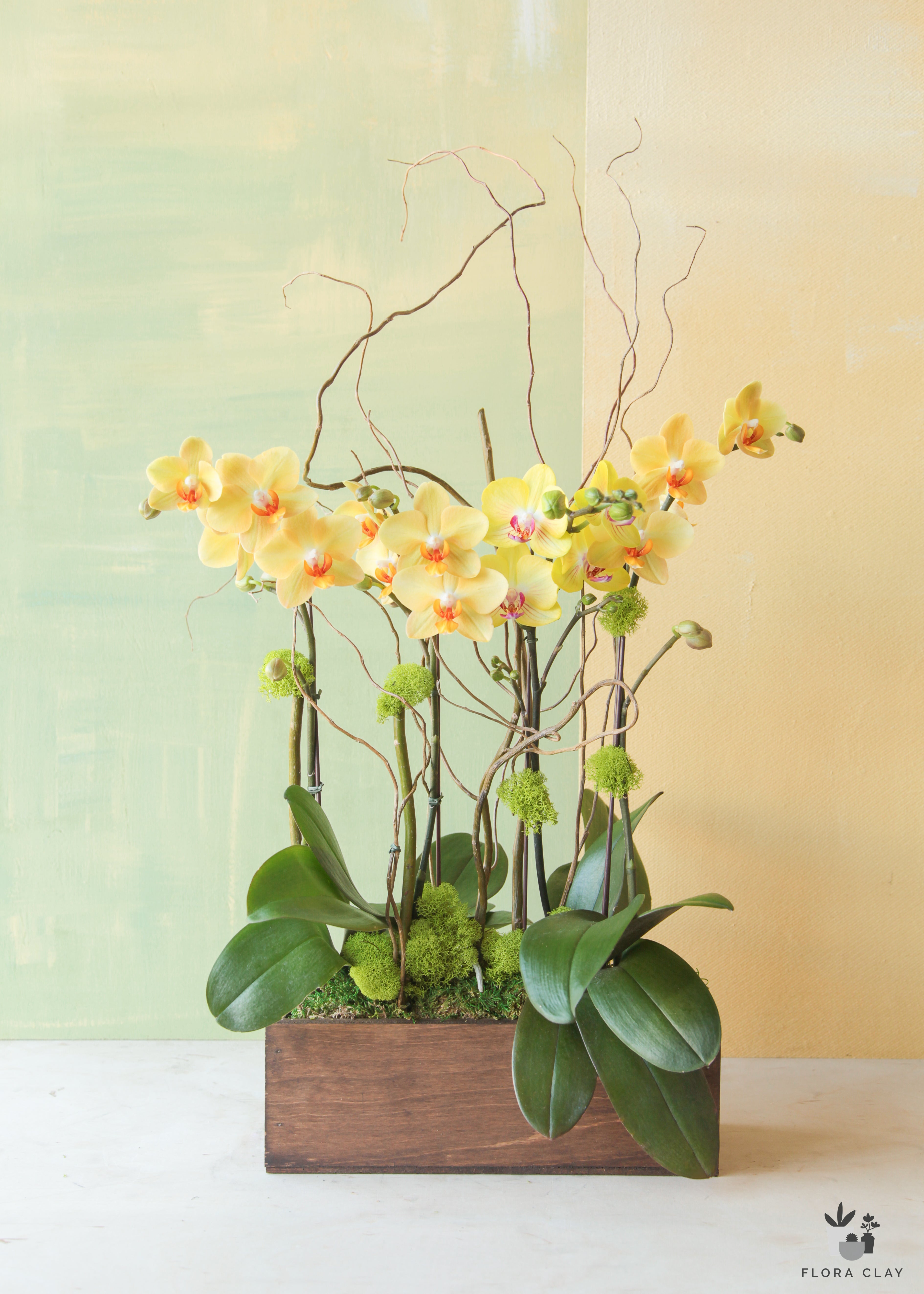canary-quartet-orchid-arrangement-floraclay-1.jpg