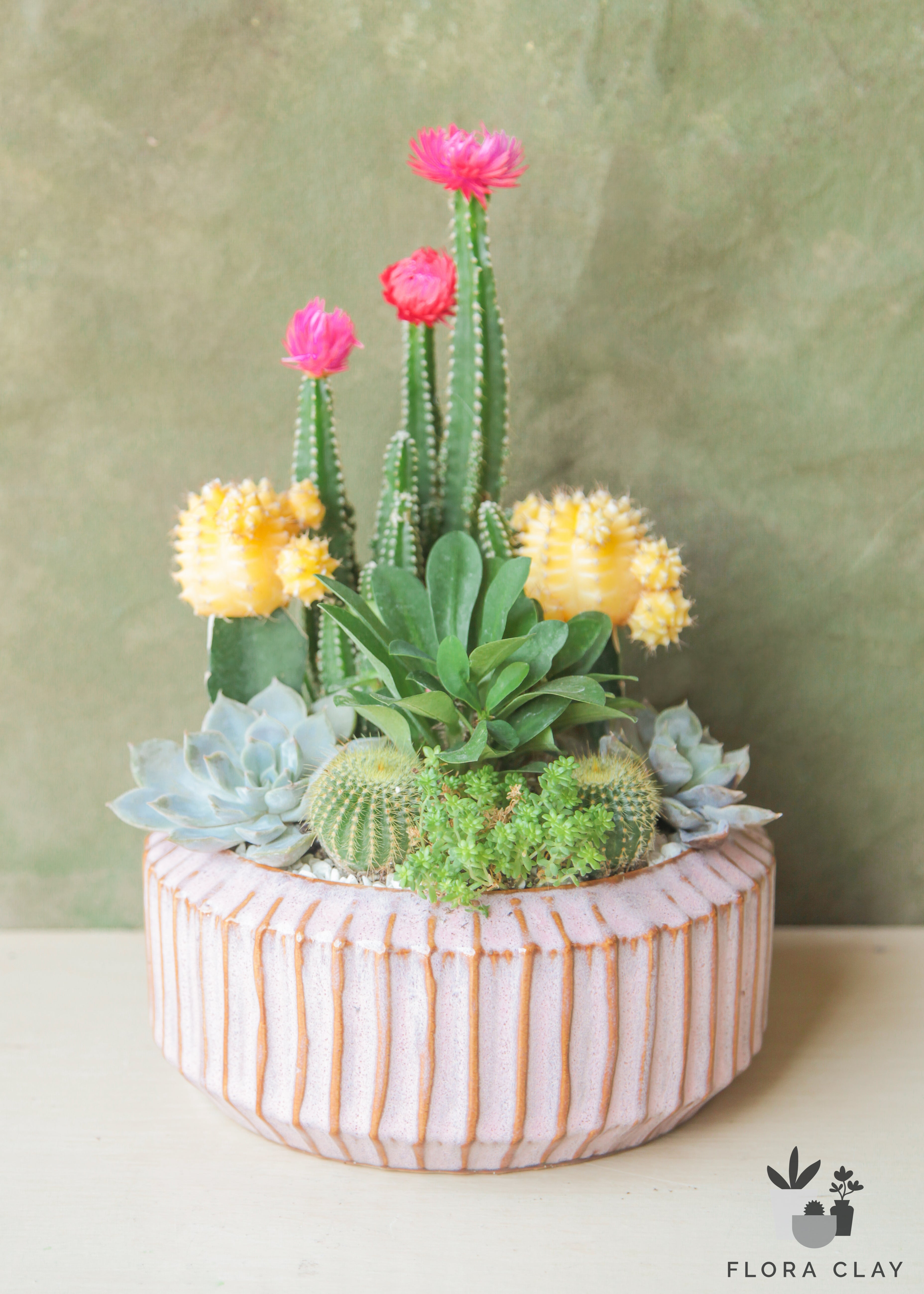 carousel-cactus-arrangement-floraclay-1.jpg