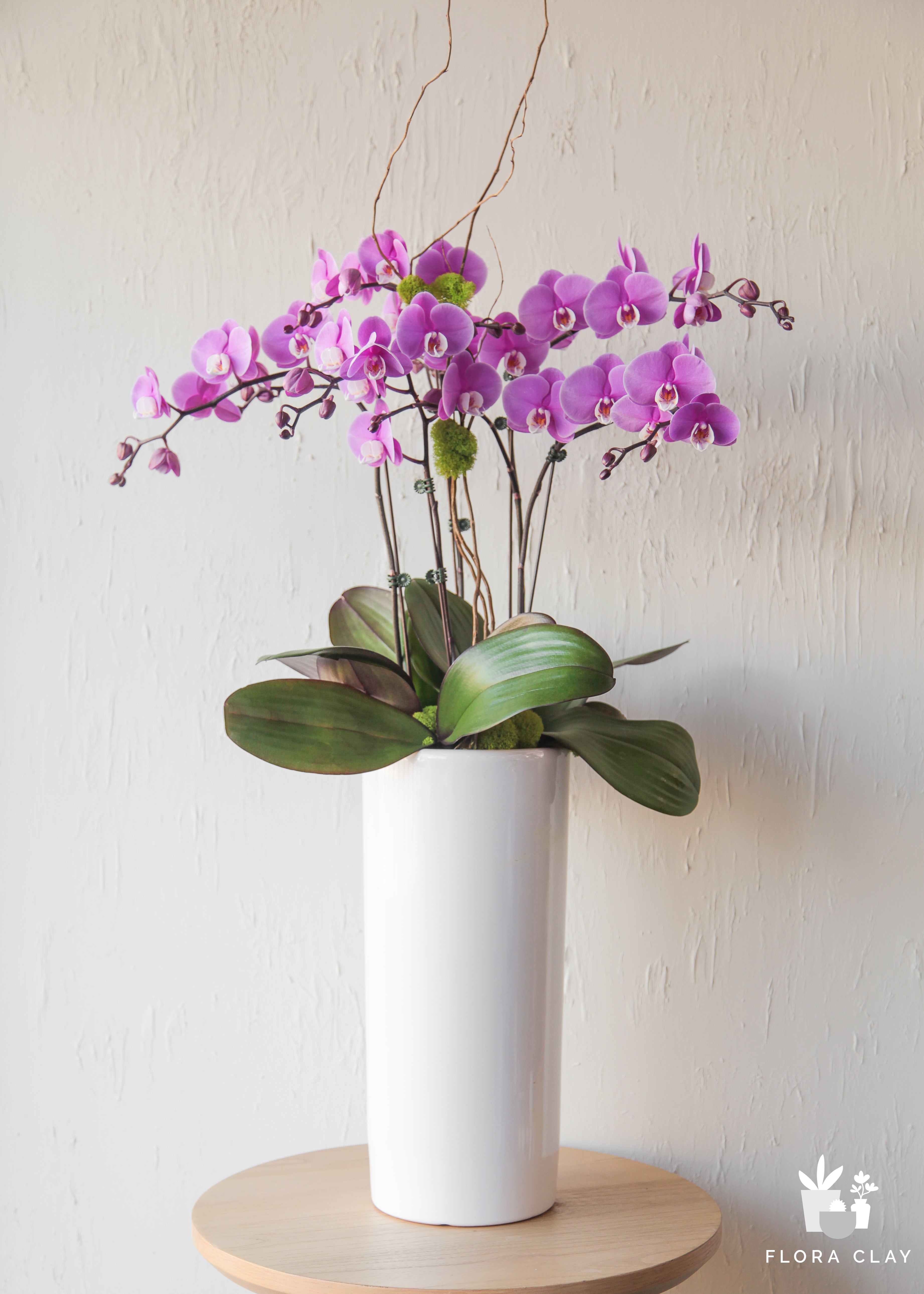 cherish-orchid-floraclay-1.jpg