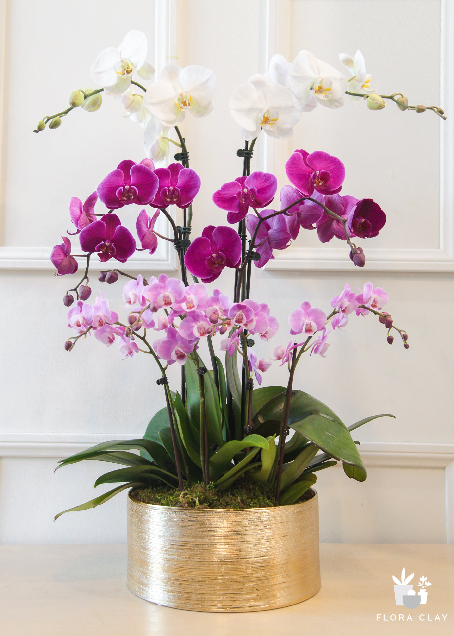 classy-orchid-arrangement-renewed-floraclay-4.jpg