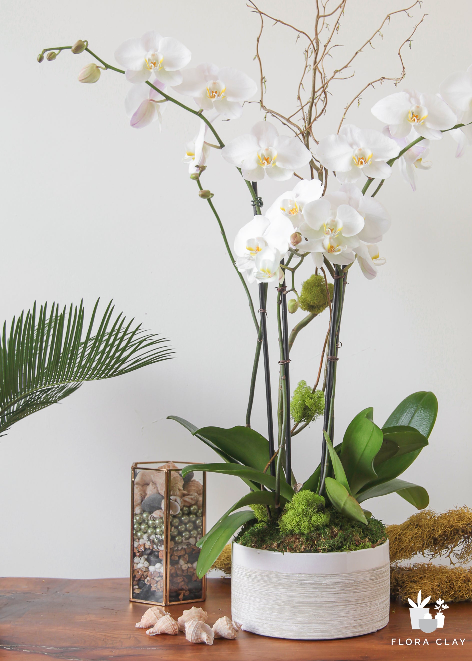 coastline-orchid-arrangement-floraclay-2.jpg