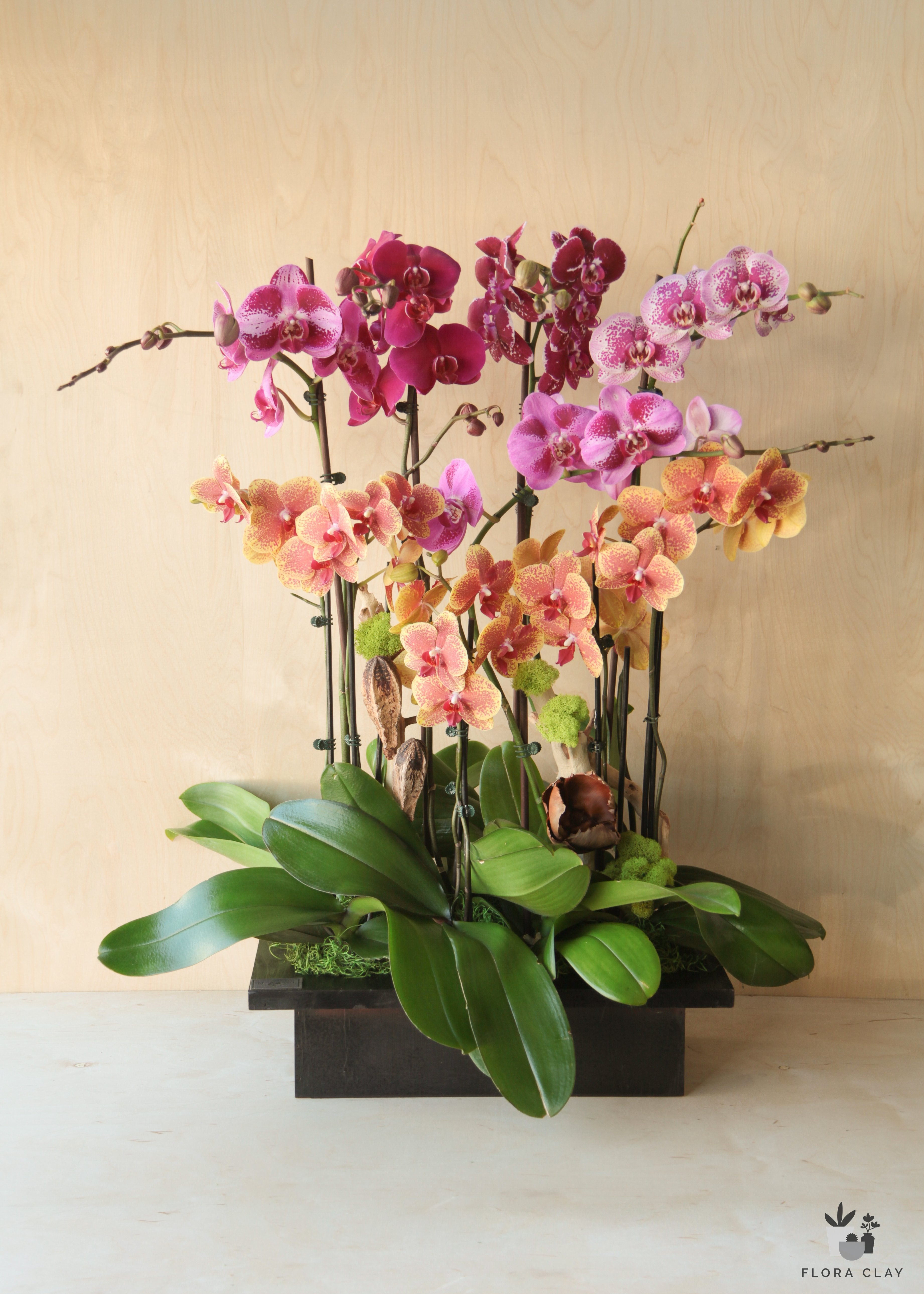 colorful-world-orchid-arrangement-floraclay-4.jpg