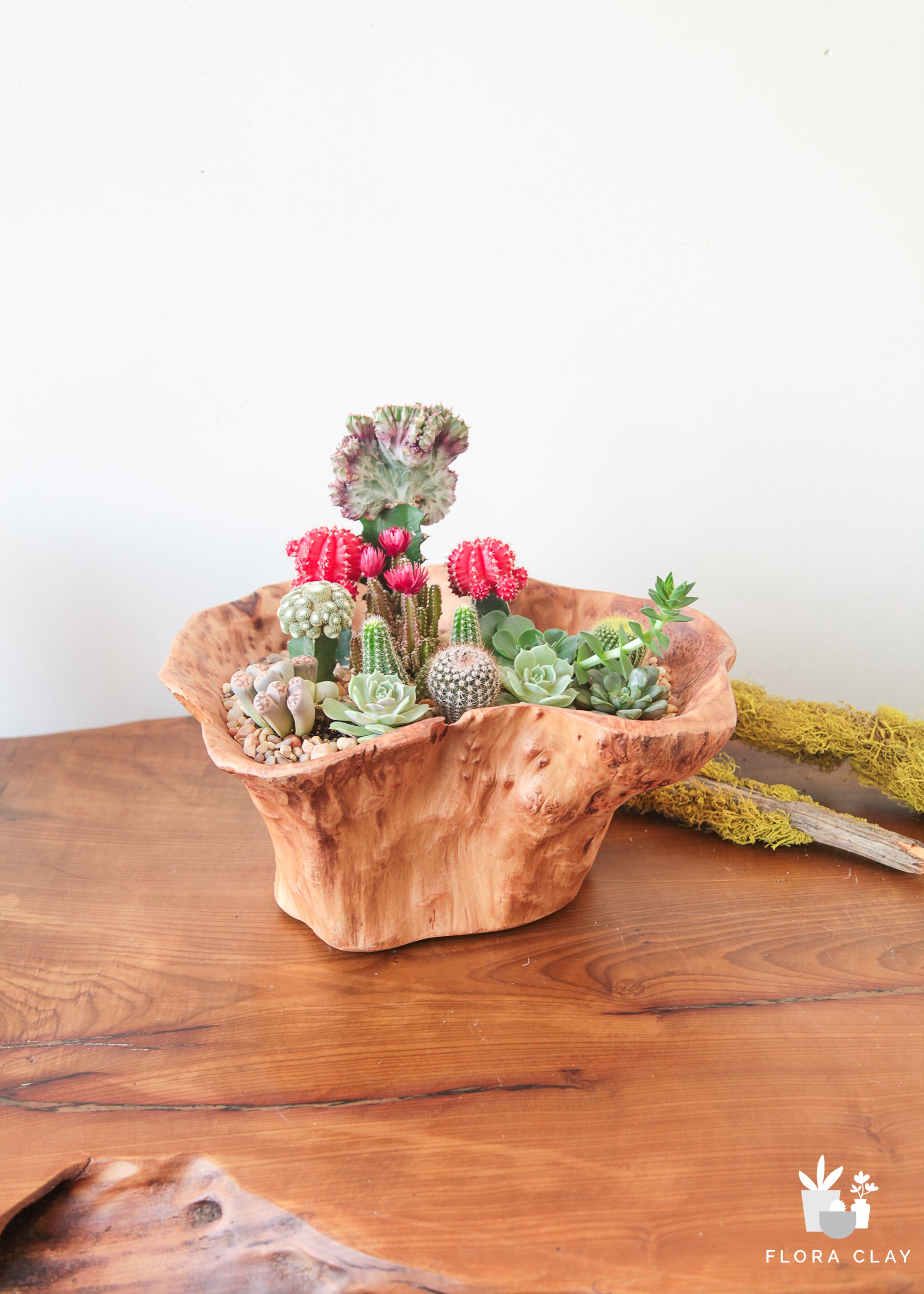 succulents together Come Together