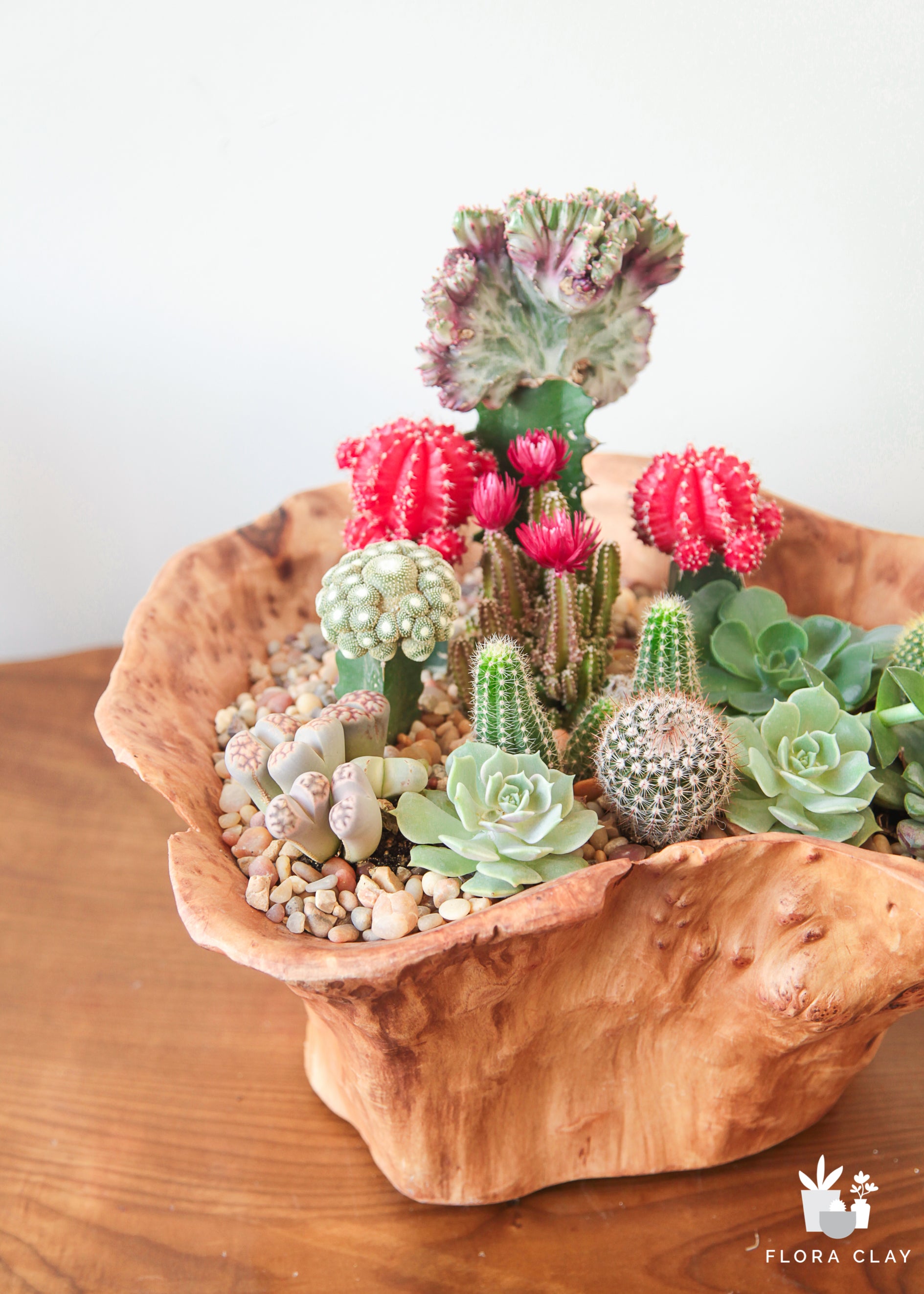 come-together-cactus-arrangement-floraclay-2.jpg