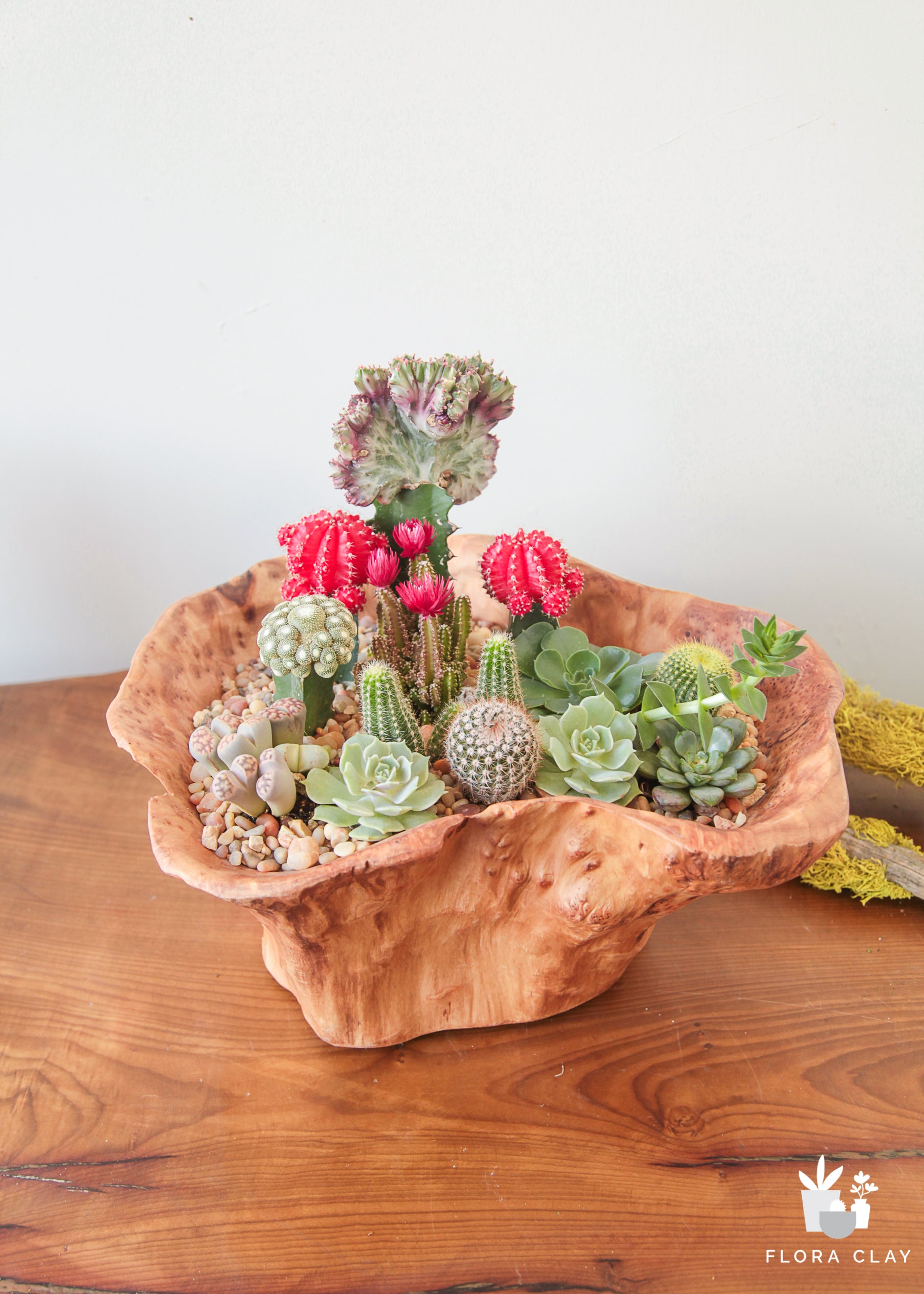 come-together-cactus-arrangement-floraclay-3.jpg