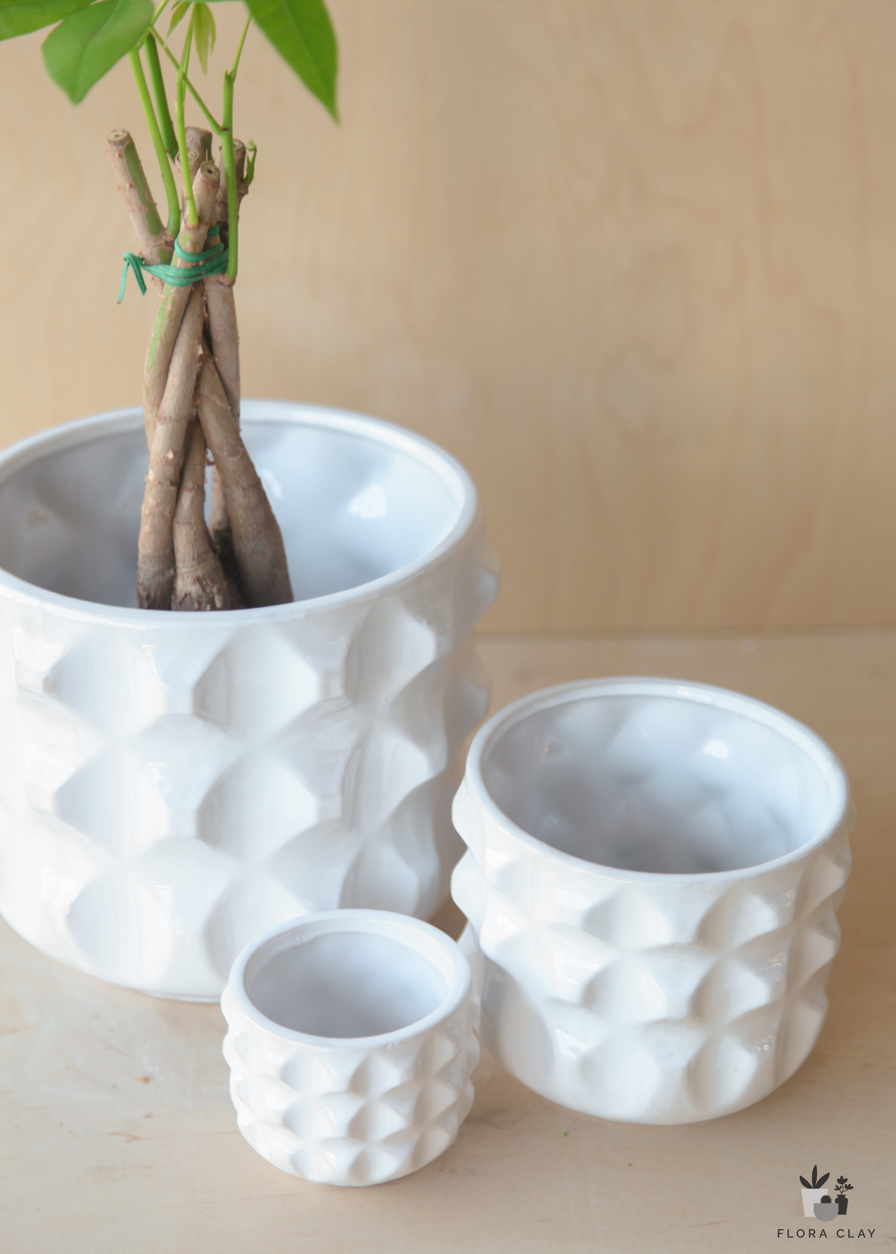 convex-ceramics-containers-floraclay-2.jpg