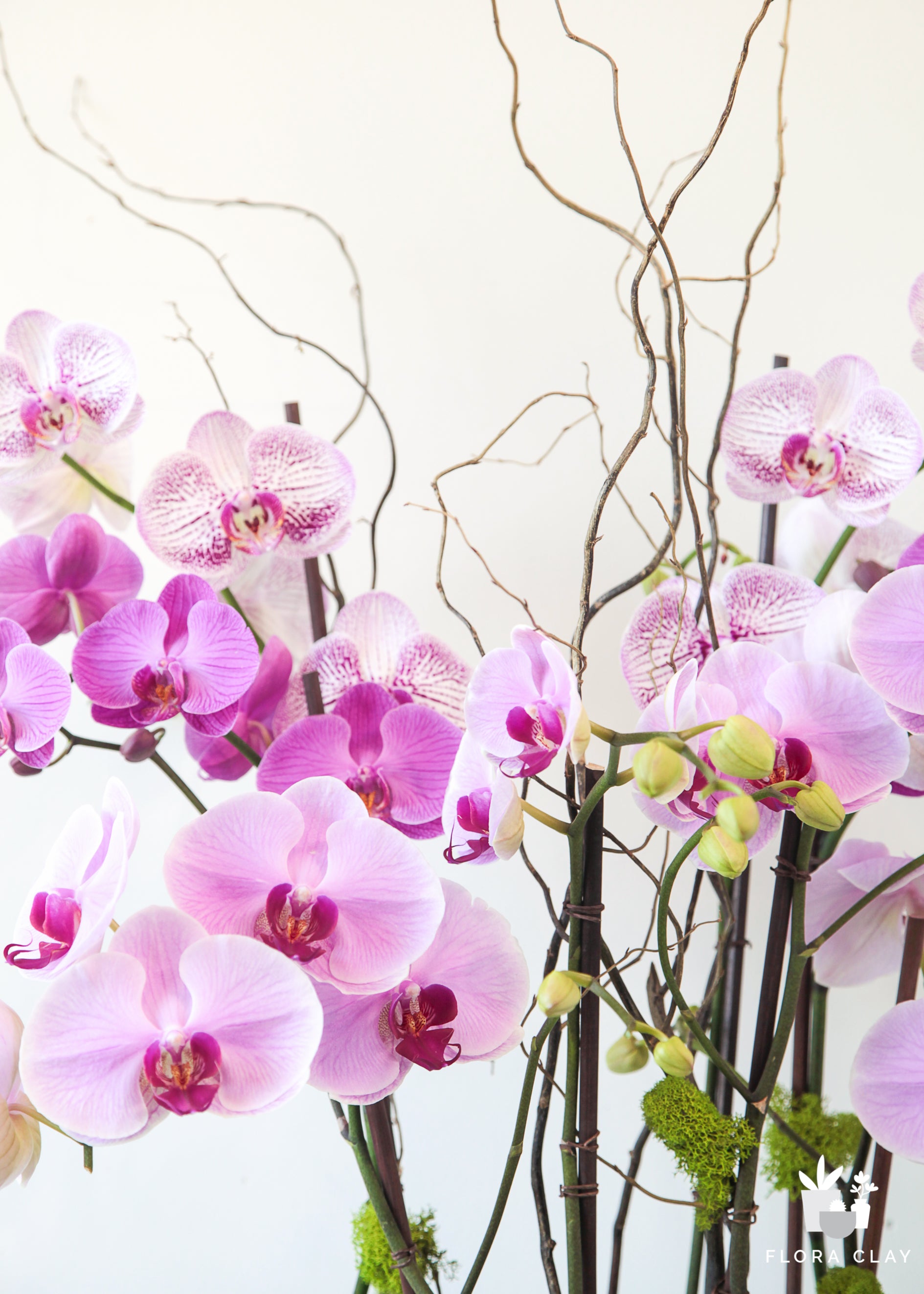 coralberry-orchid-arrangement-floraclay-6.jpg