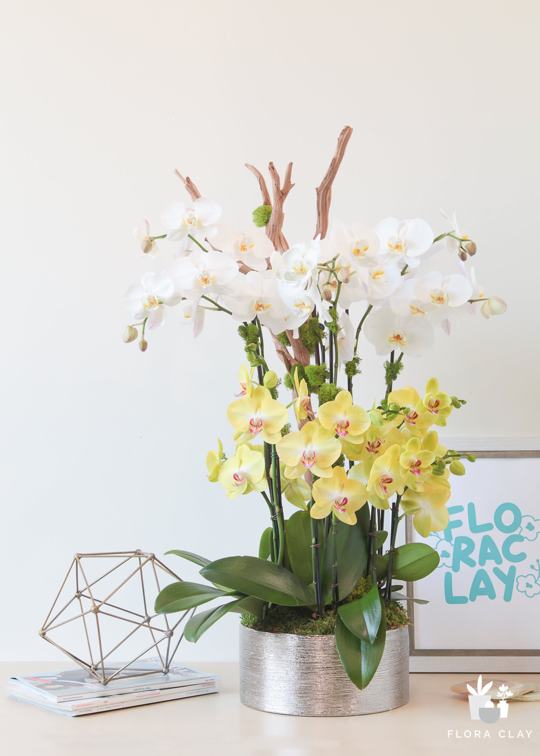 daisy-ave-orchid-arrangement-floraclay-1.jpg