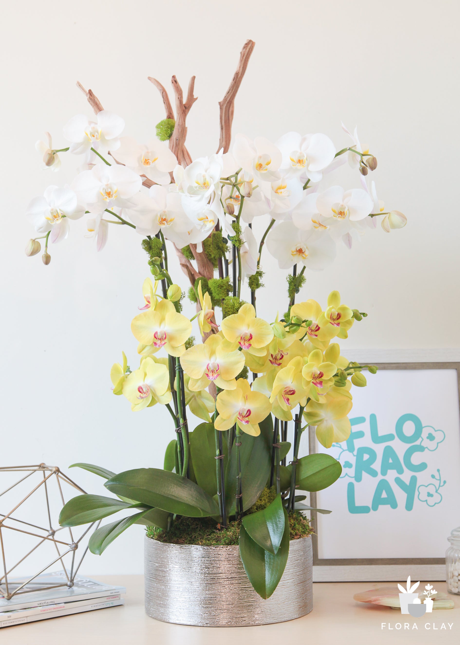 daisy-ave-orchid-arrangement-floraclay-2.jpg