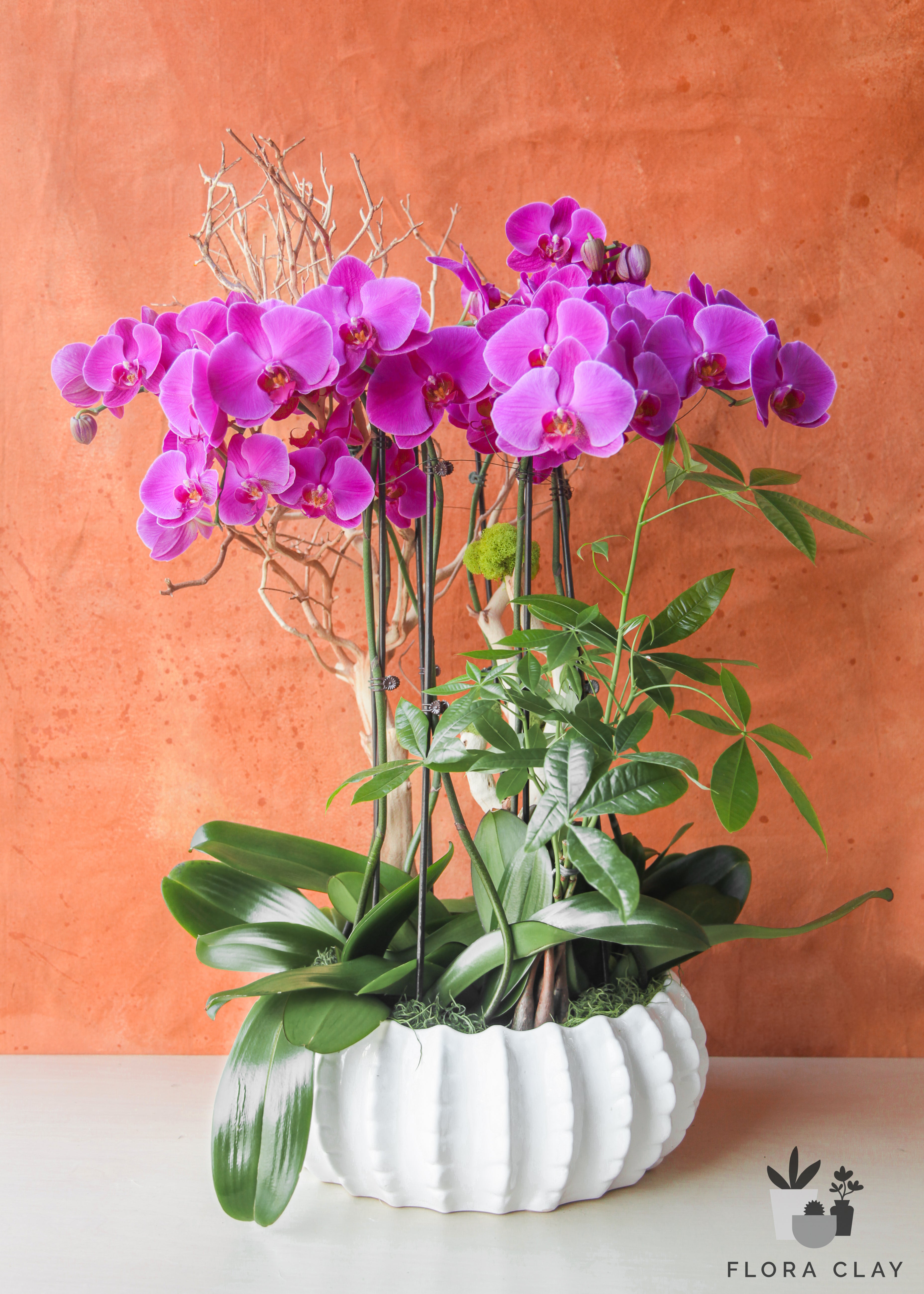 dancing-queen-orchid-arrangement-floraclay-1.jpg