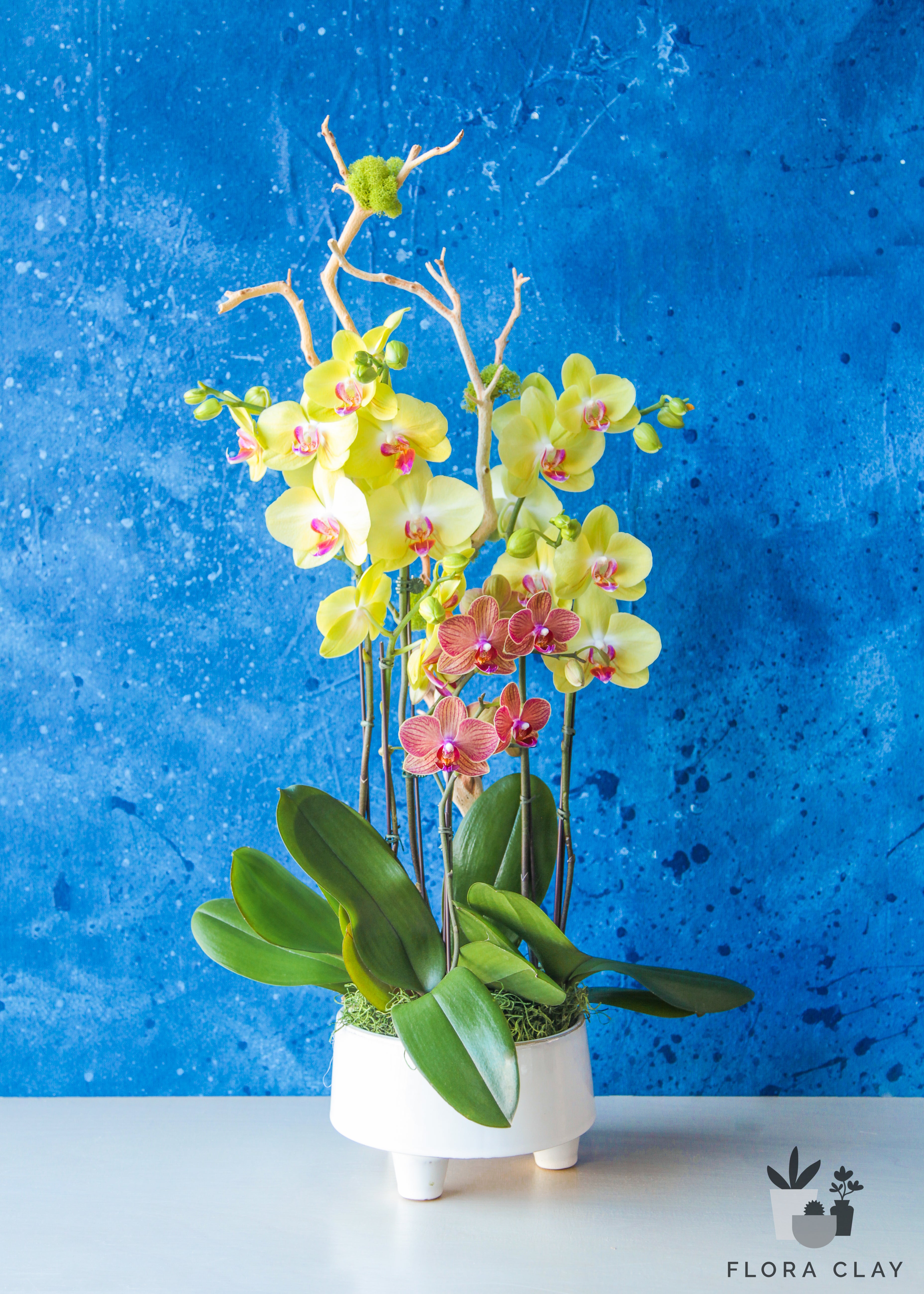 day-brighter-orchid-arrangement-floraclay-1.jpg