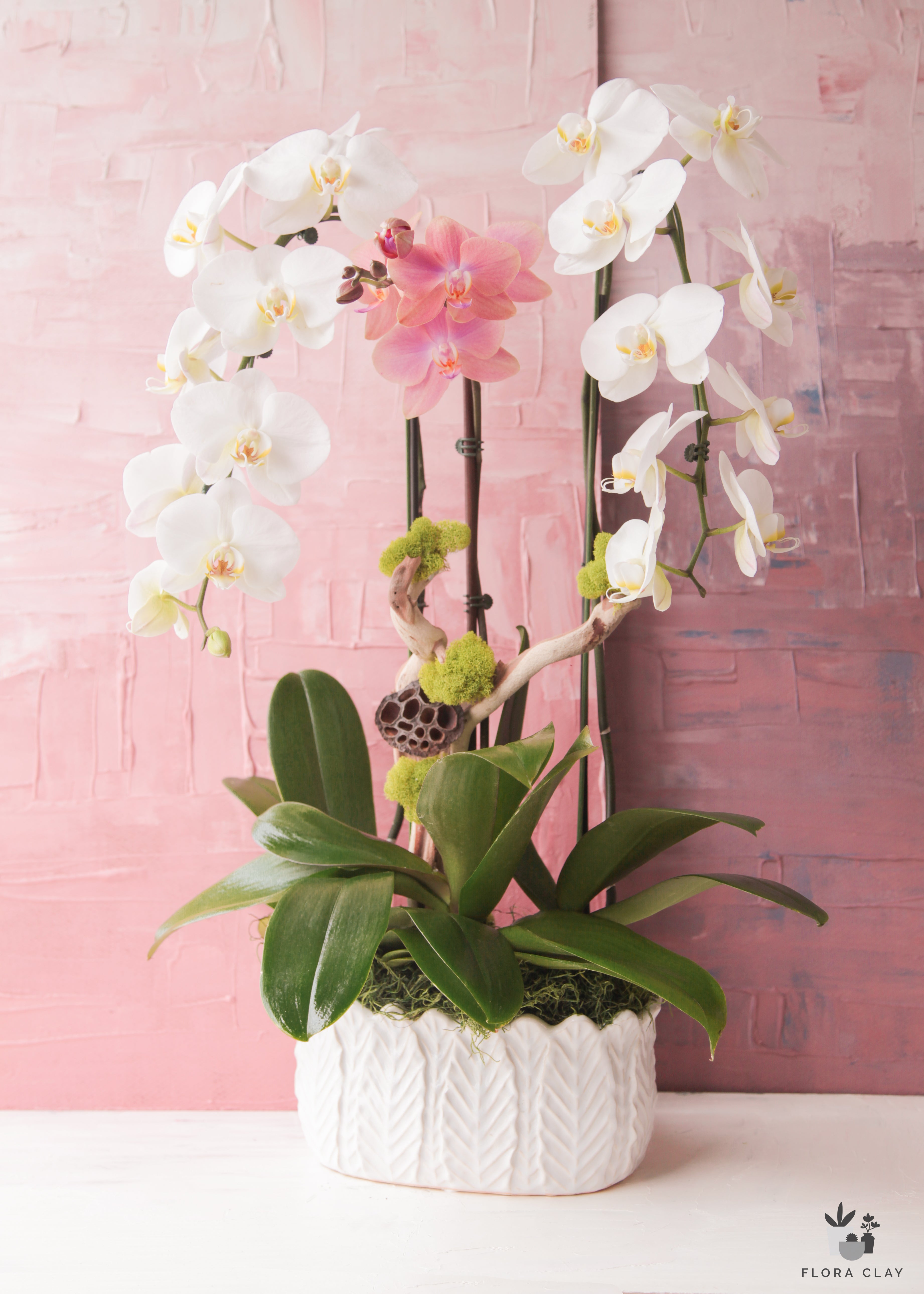 extraordinary-orchid-arrangement-floraclay-1.jpg