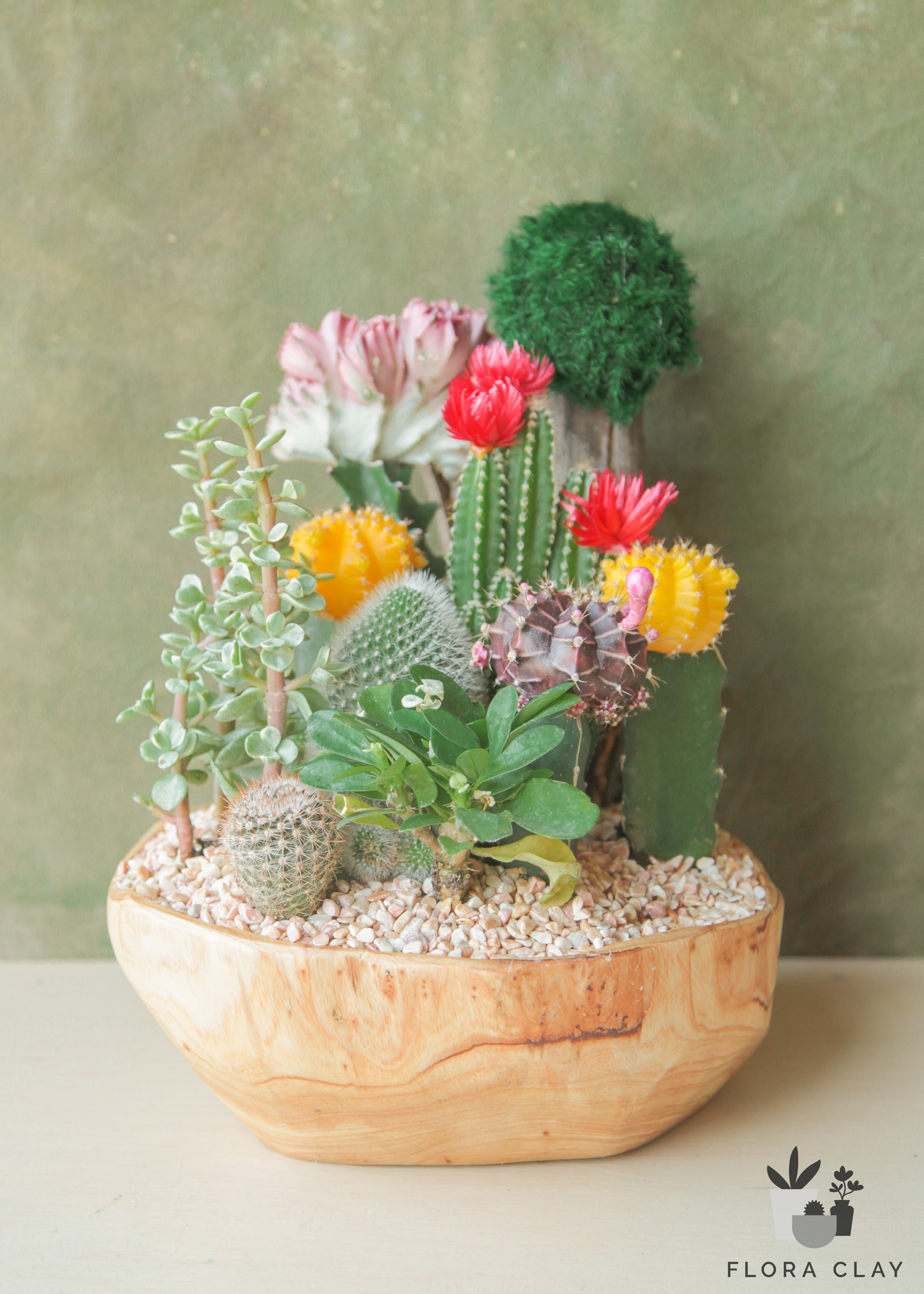 family-picture-cactus-arrangement-floraclay-1.jpg