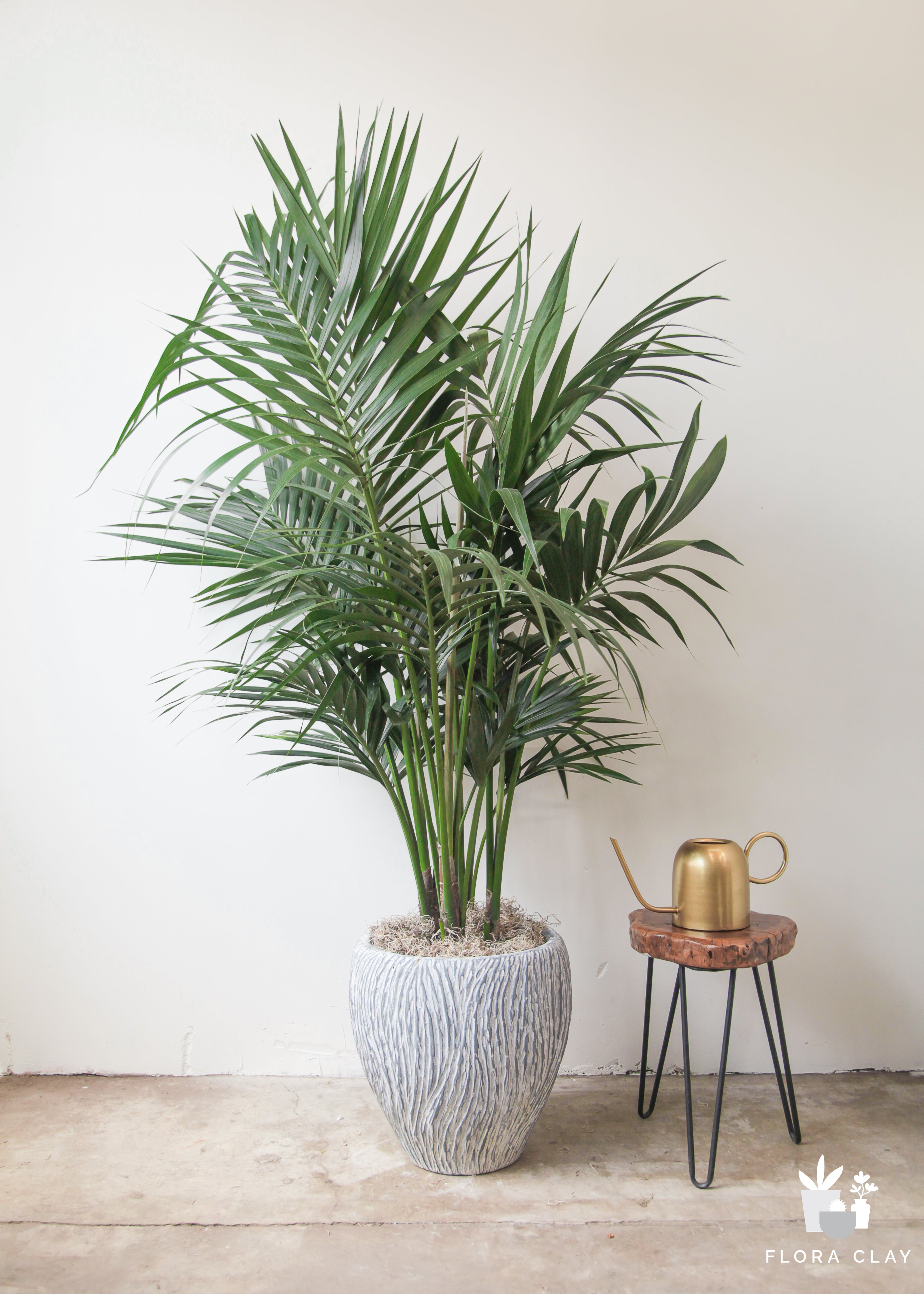 flowy-palm-plant-arrangement-floraclay-1.jpg
