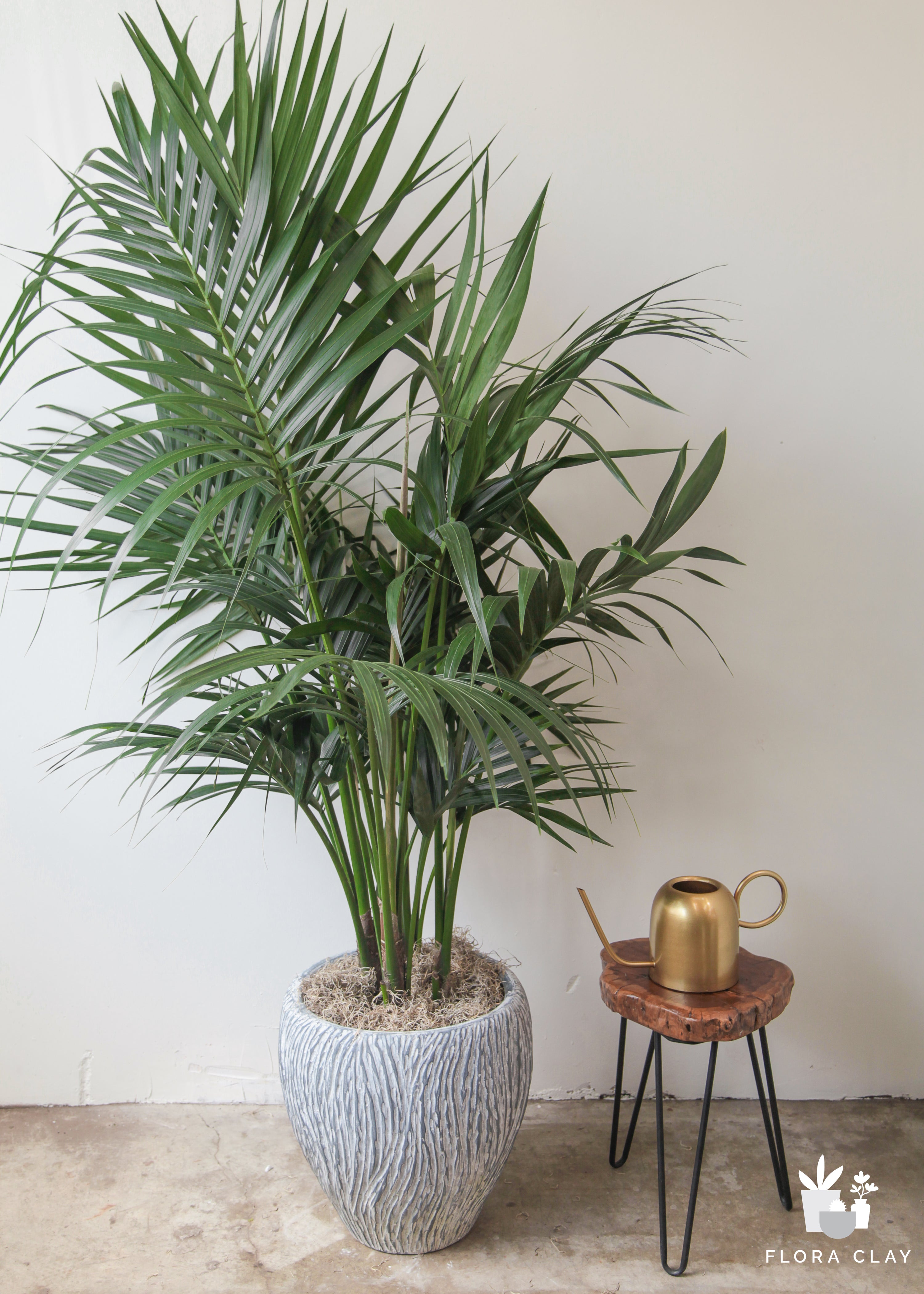 Flowy Palm