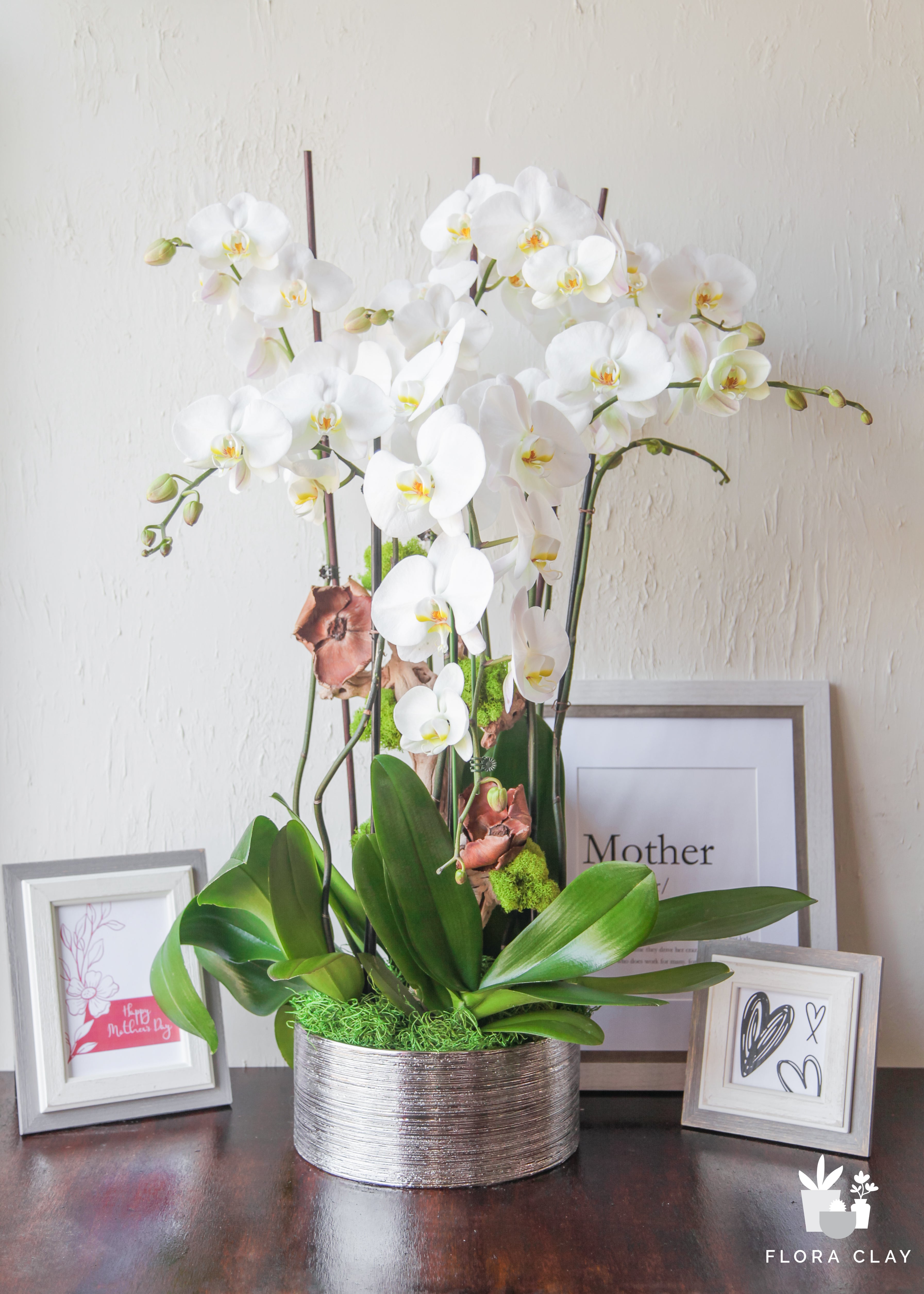 forever-friend-orchid-floraclay.jpg
