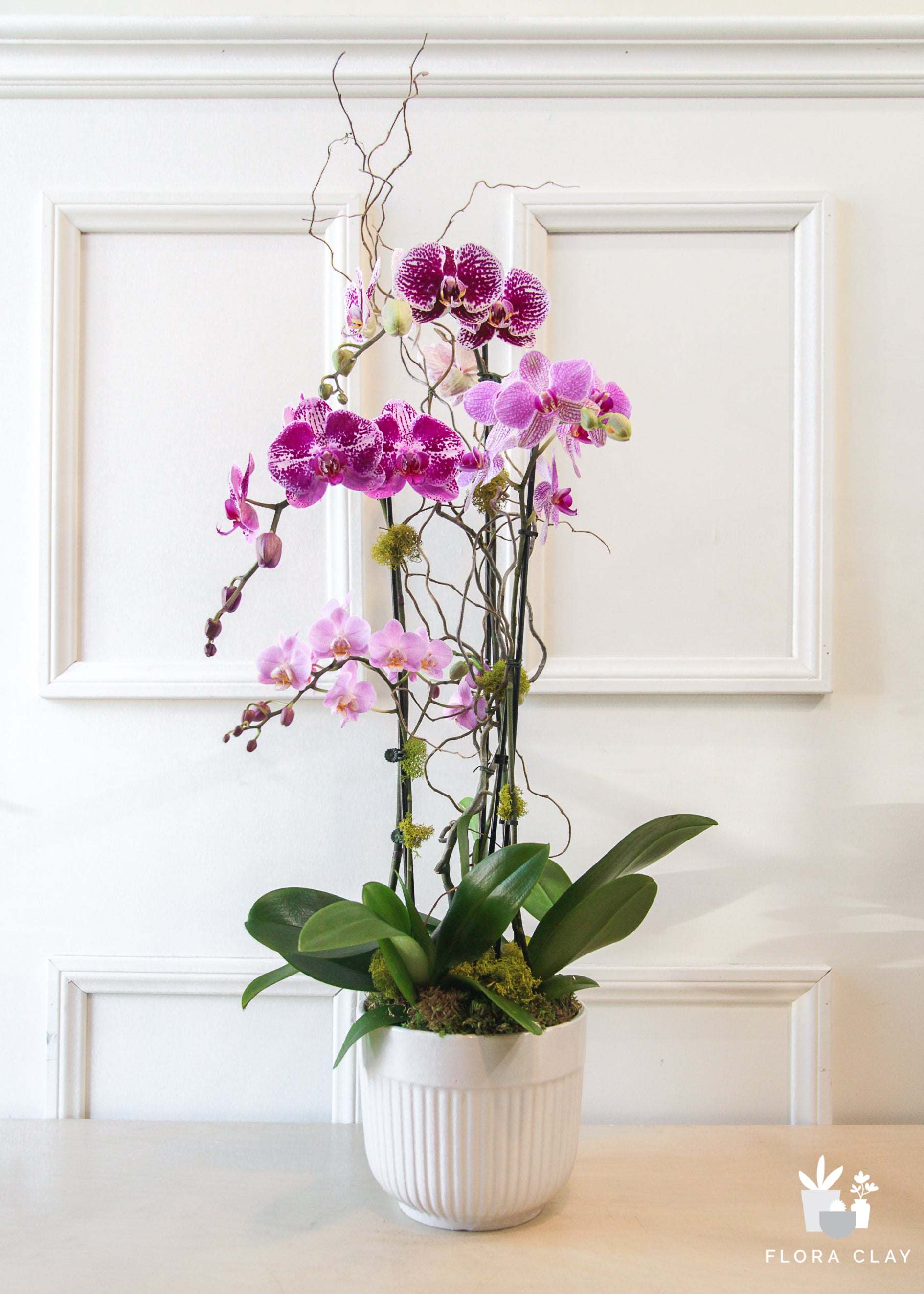 foreveryoung-orchid-arrangement-renewed-floraclay-6.jpg