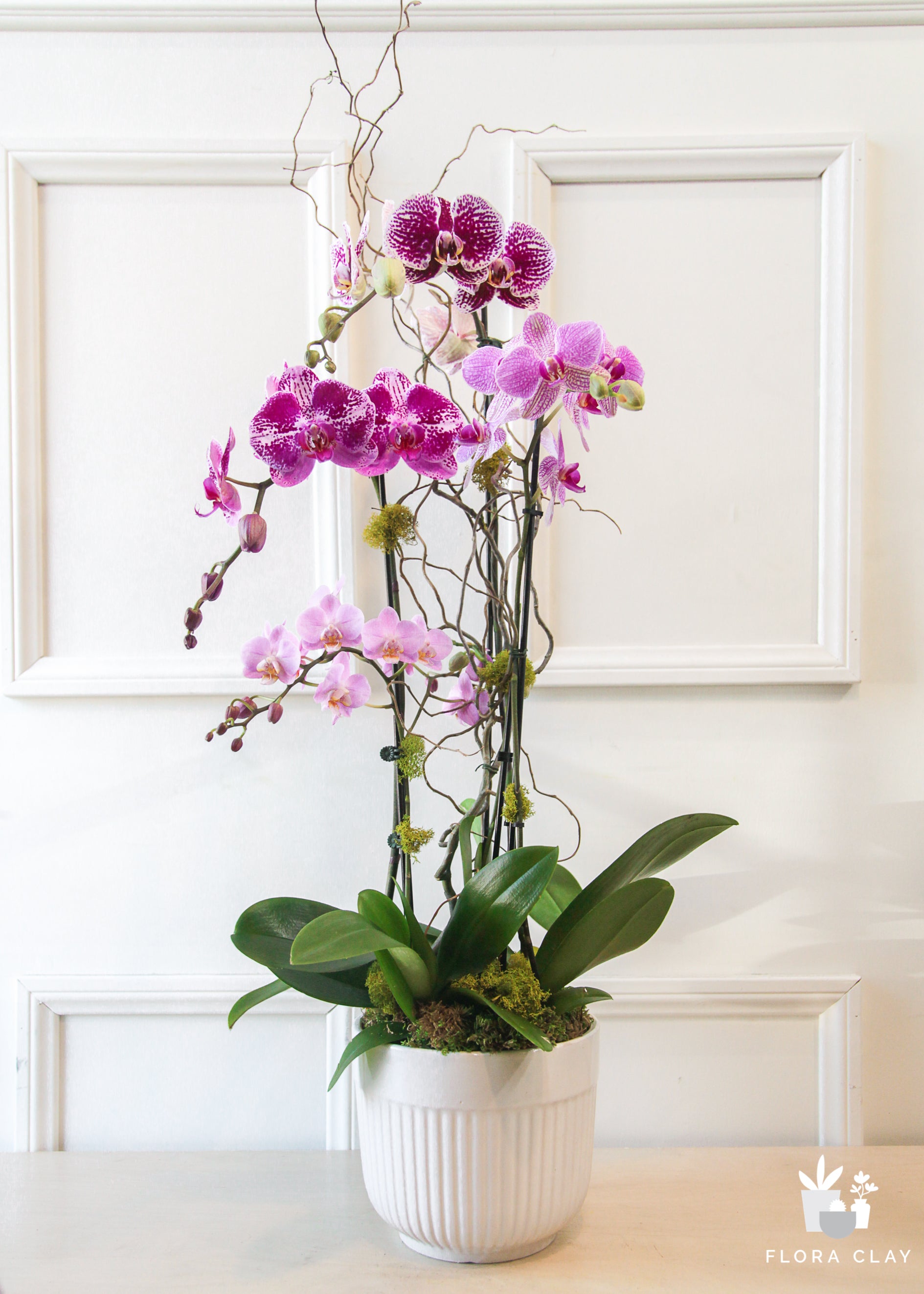 foreveryoung-orchid-arrangement-renewed-floraclay-7.jpg