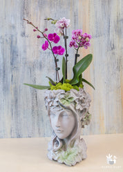 A decorative vase in the shape of a woman's head, with a floral design, containing a pink orchid arrangement.