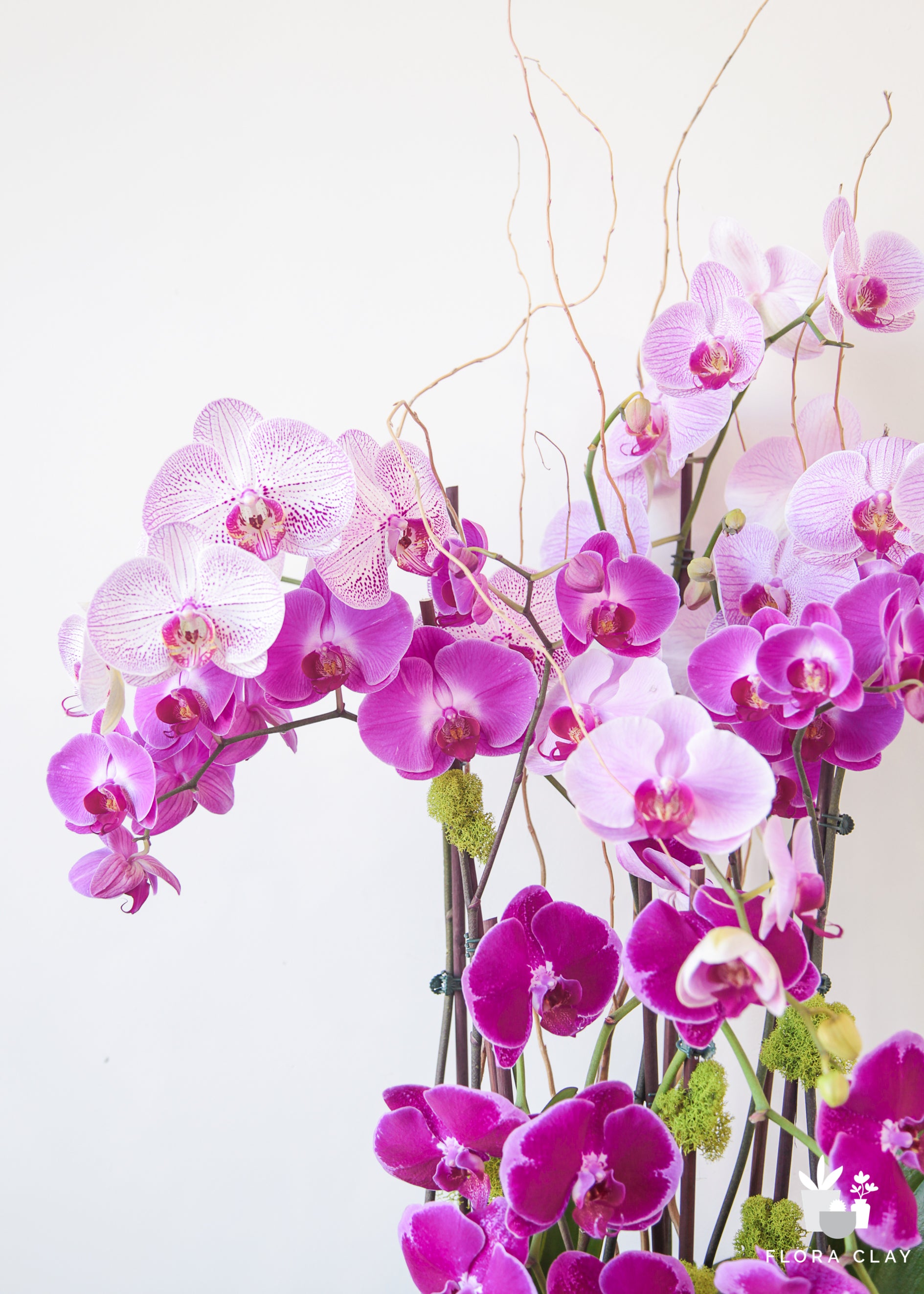 fruitful orchid arrangement