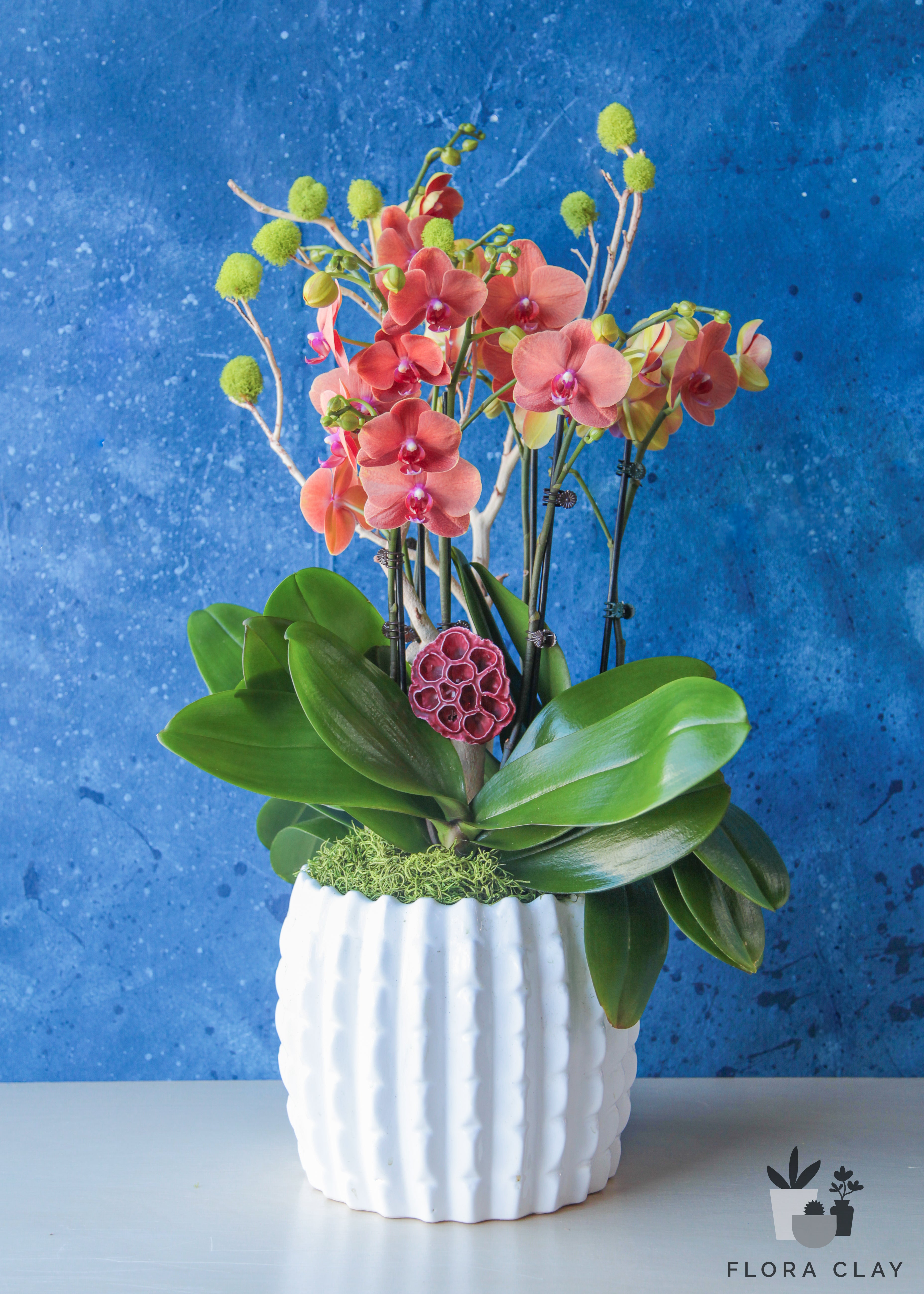 garnet-orchid-arrangement-floraclay-1.jpg
