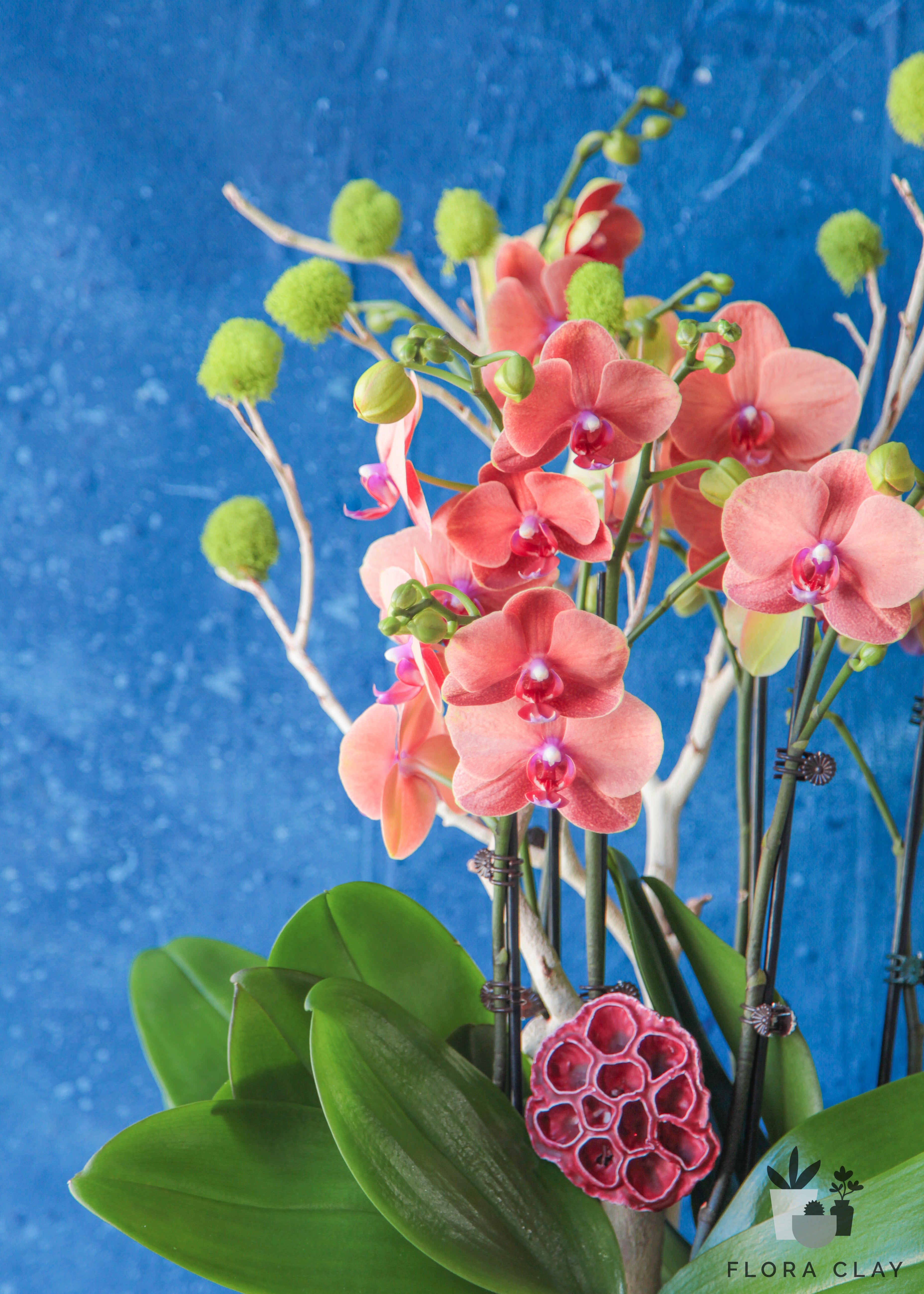 garnet-orchid-arrangement-floraclay-2.jpg