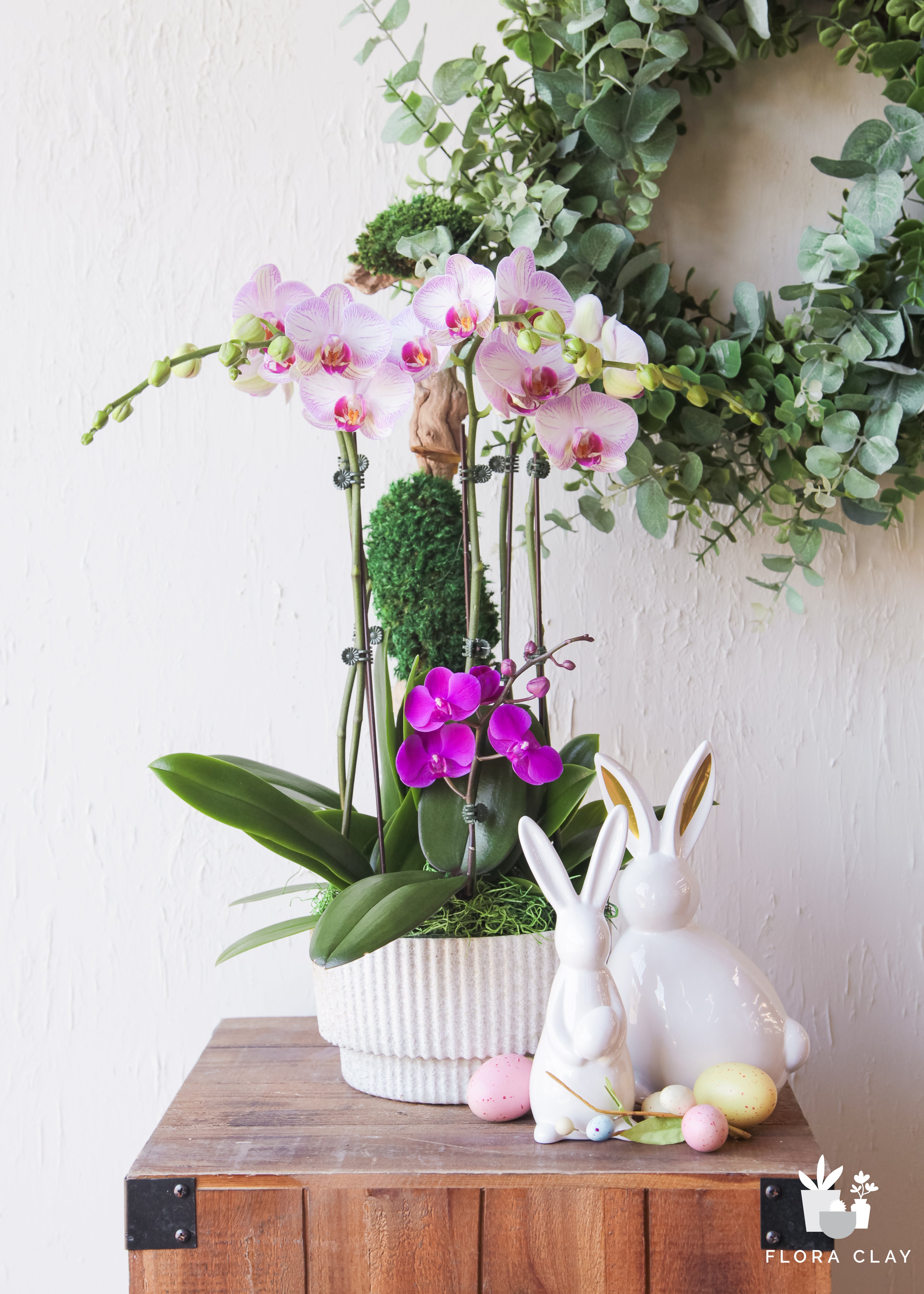 healer-orchid-floraclay-1.jpg