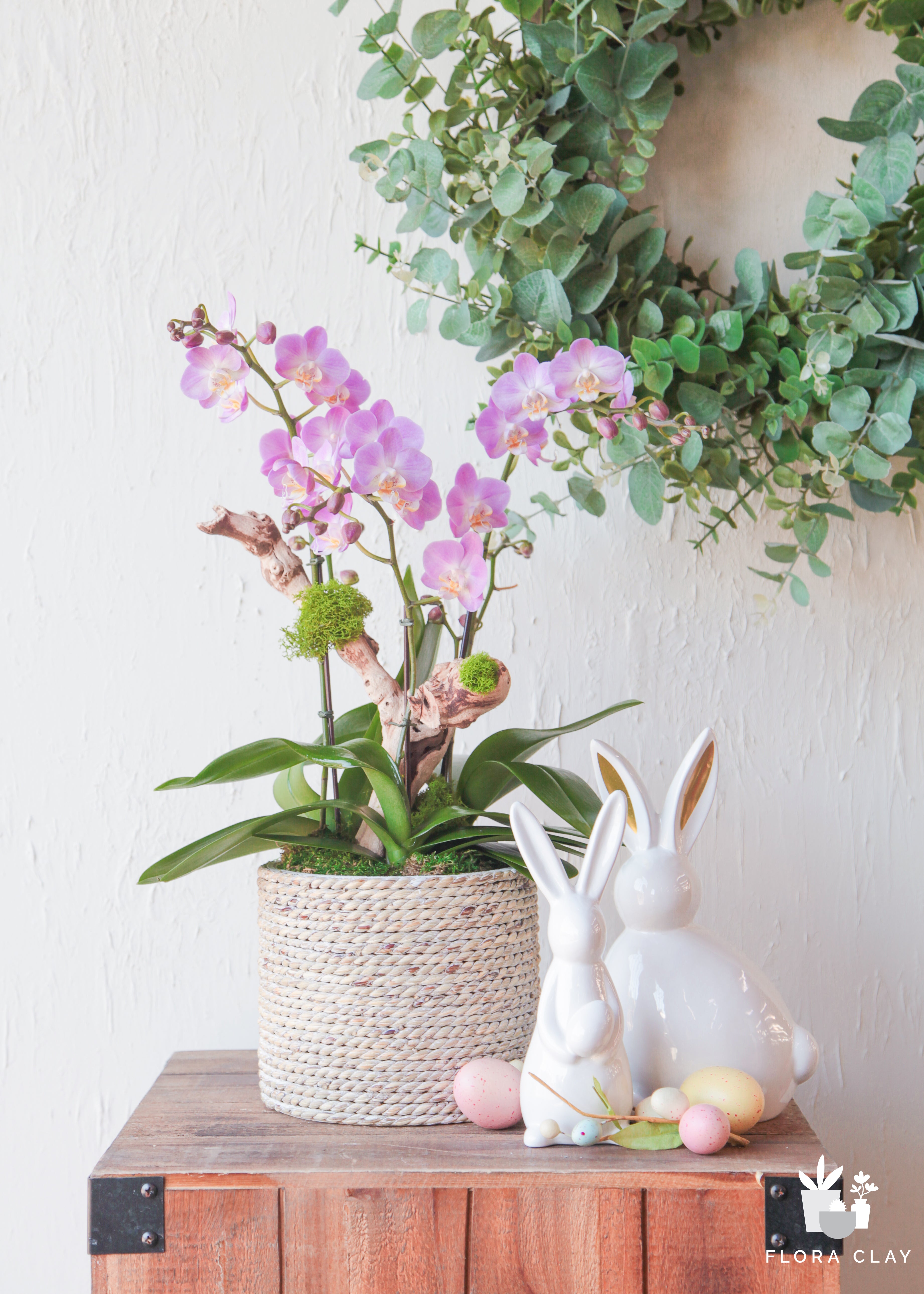 hello-spring-orchid-arrange-floraclay-1.jpg