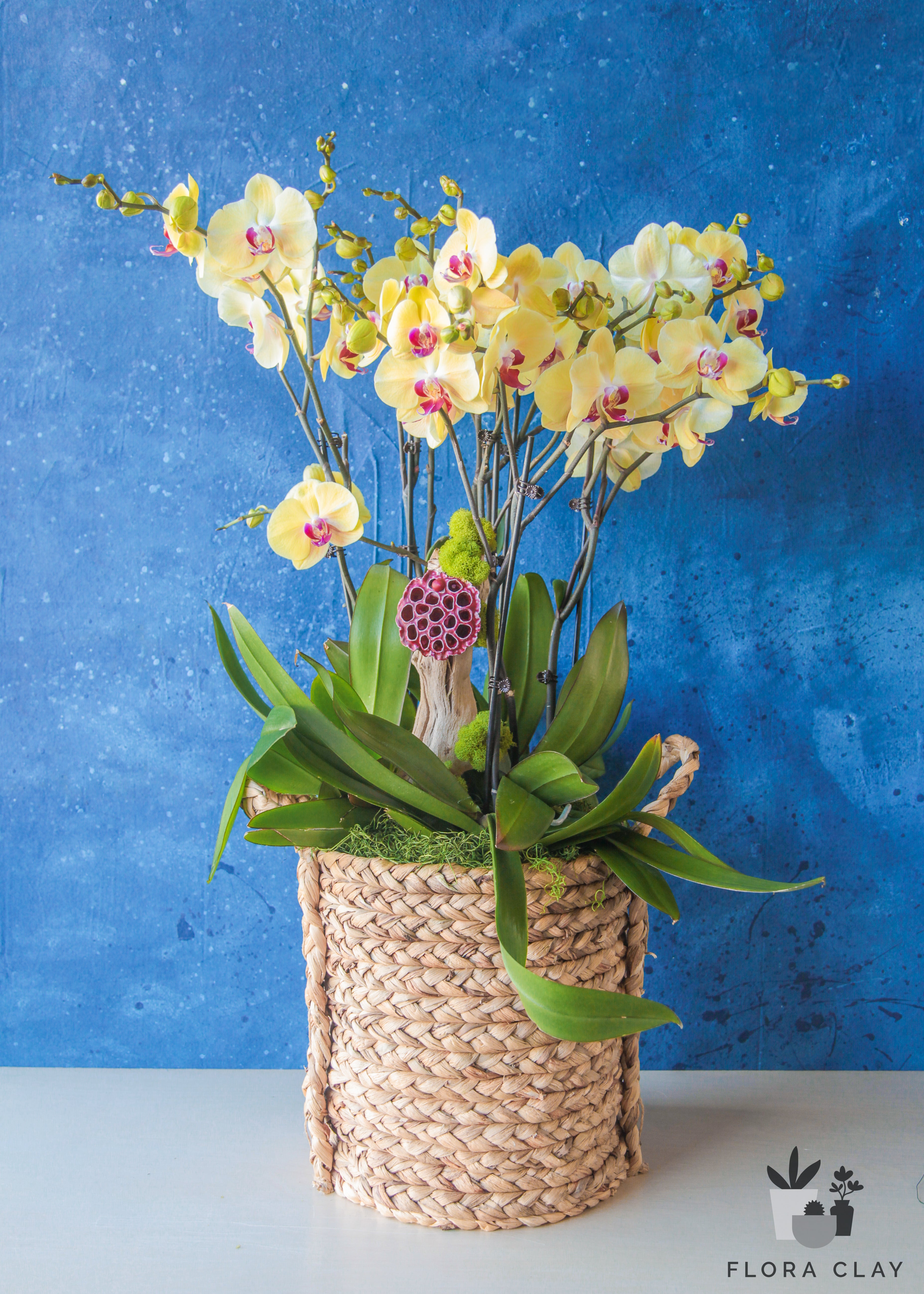 hello-yellow-orchid-arrangement-floraclay-1.jpg