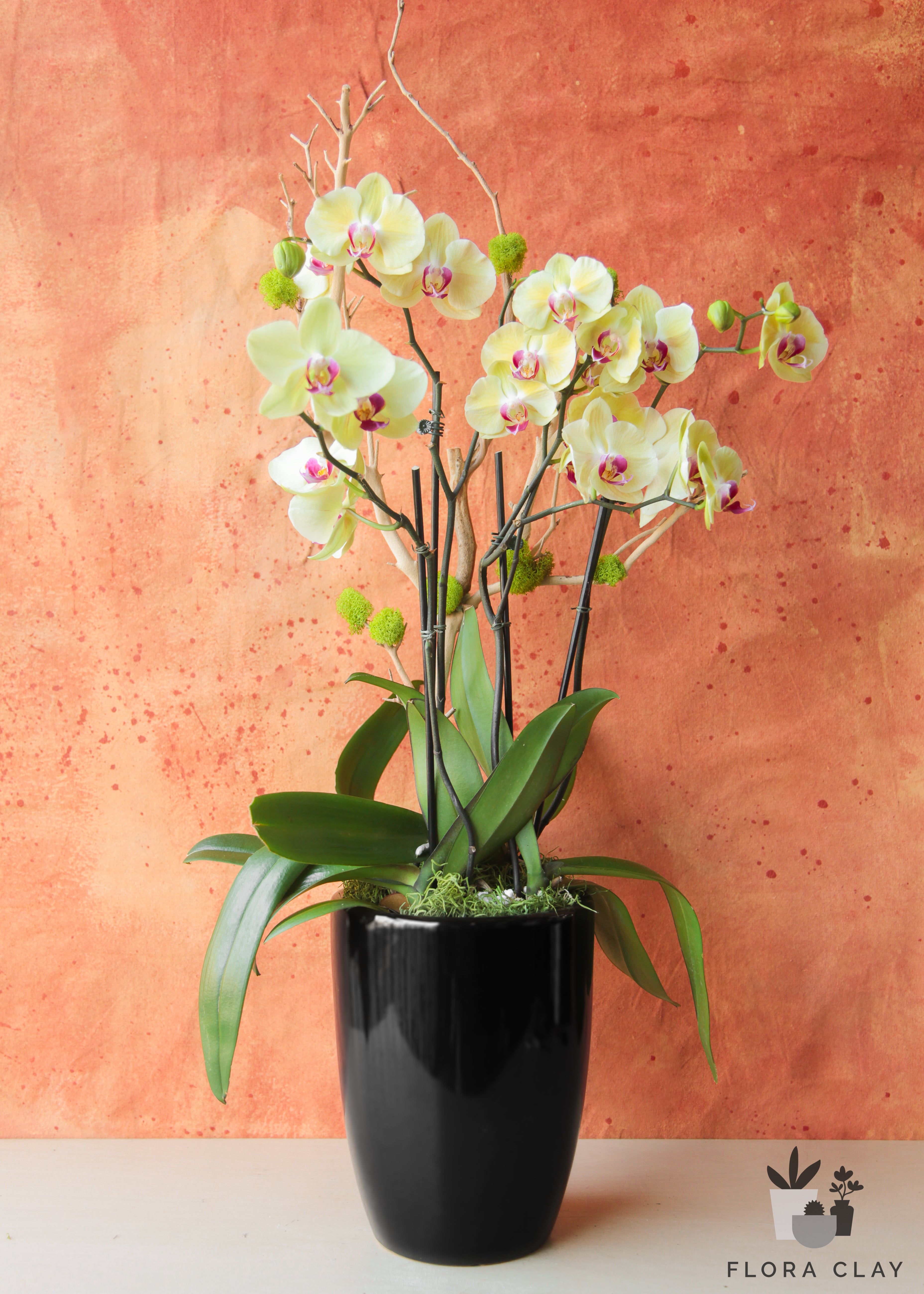 hera-orchid-arrangement-floraclay-3.jpg
