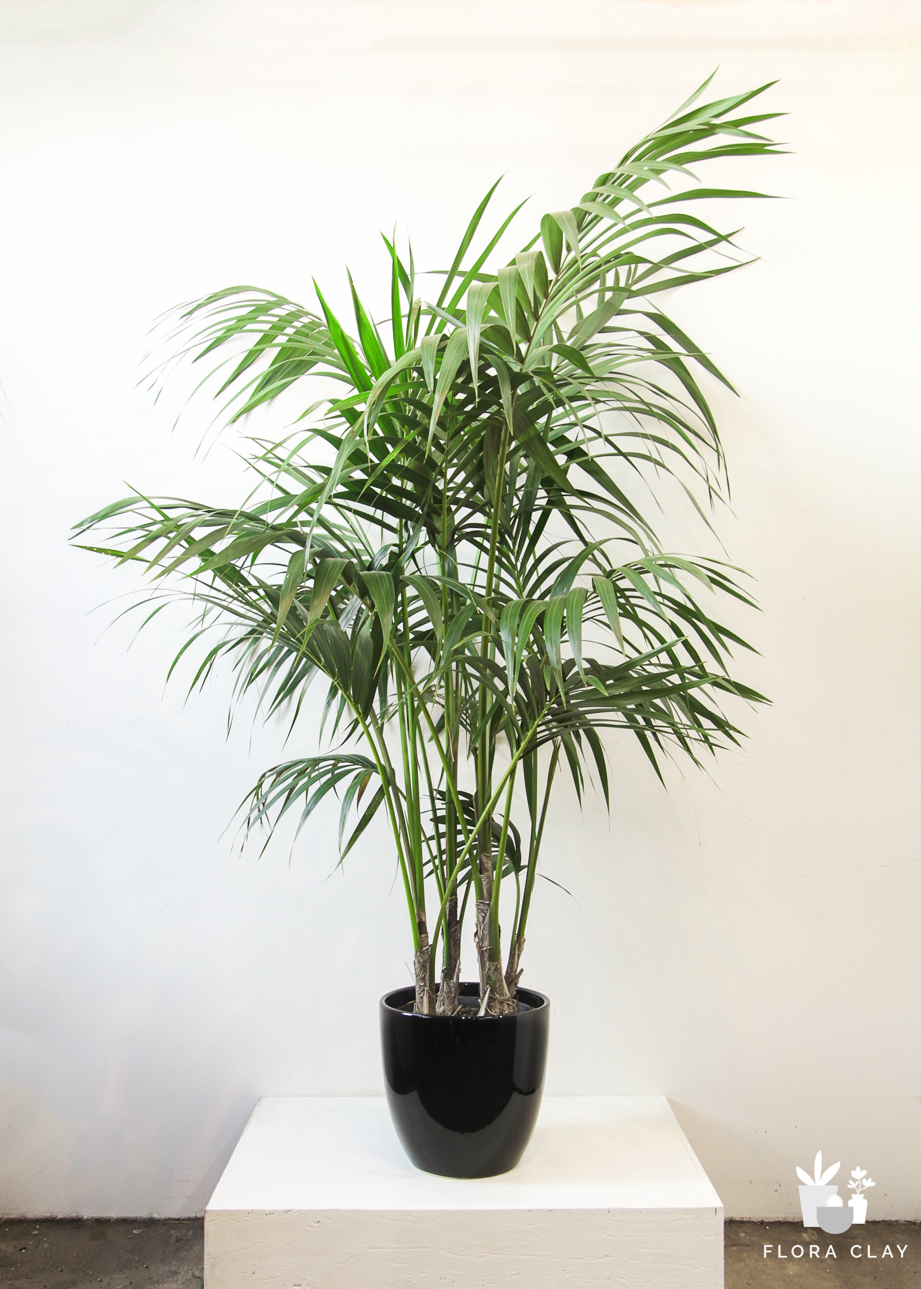 Large Black Ceramic