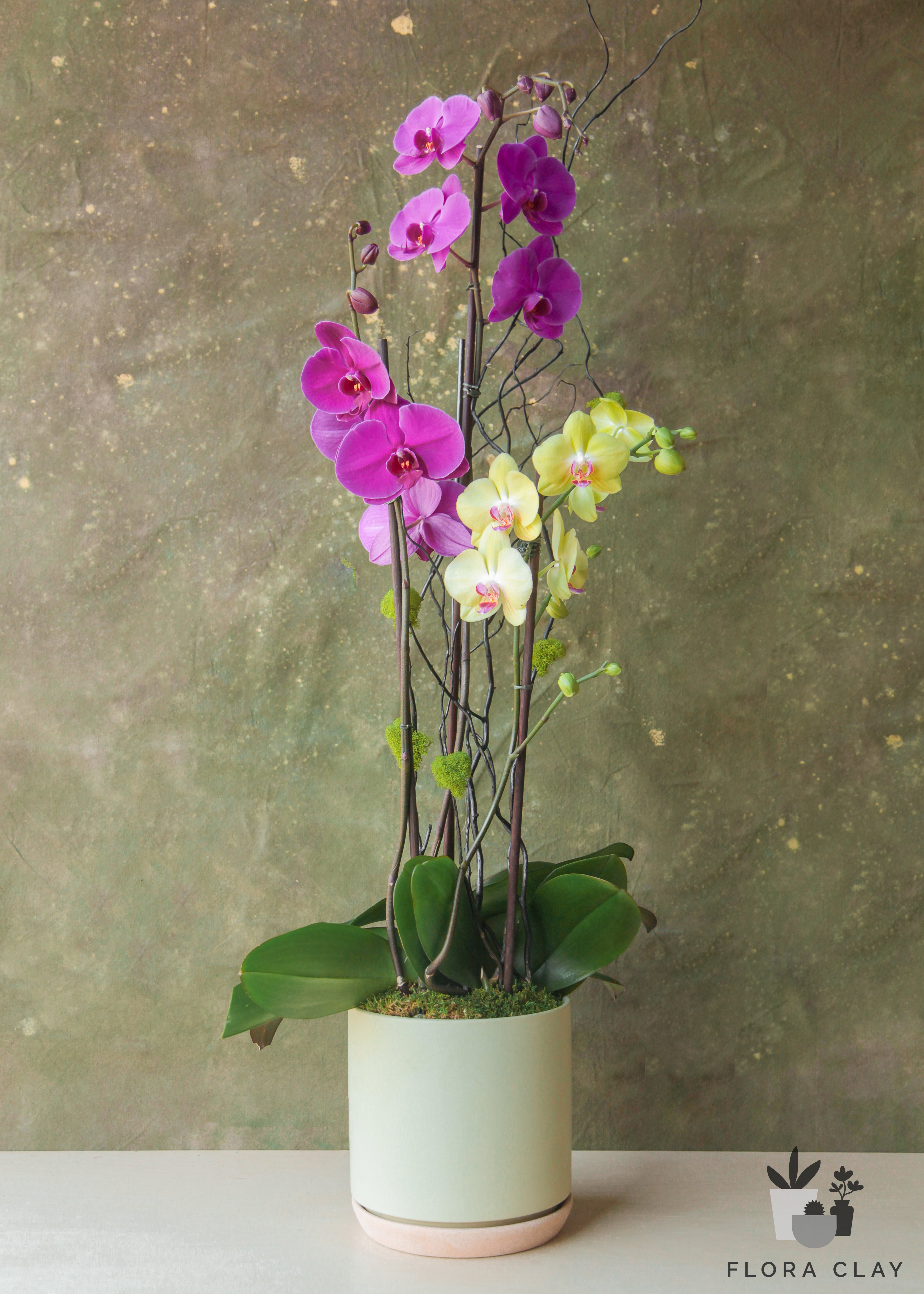 la-jolla-orchid-arrangement-floraclay-1.jpg