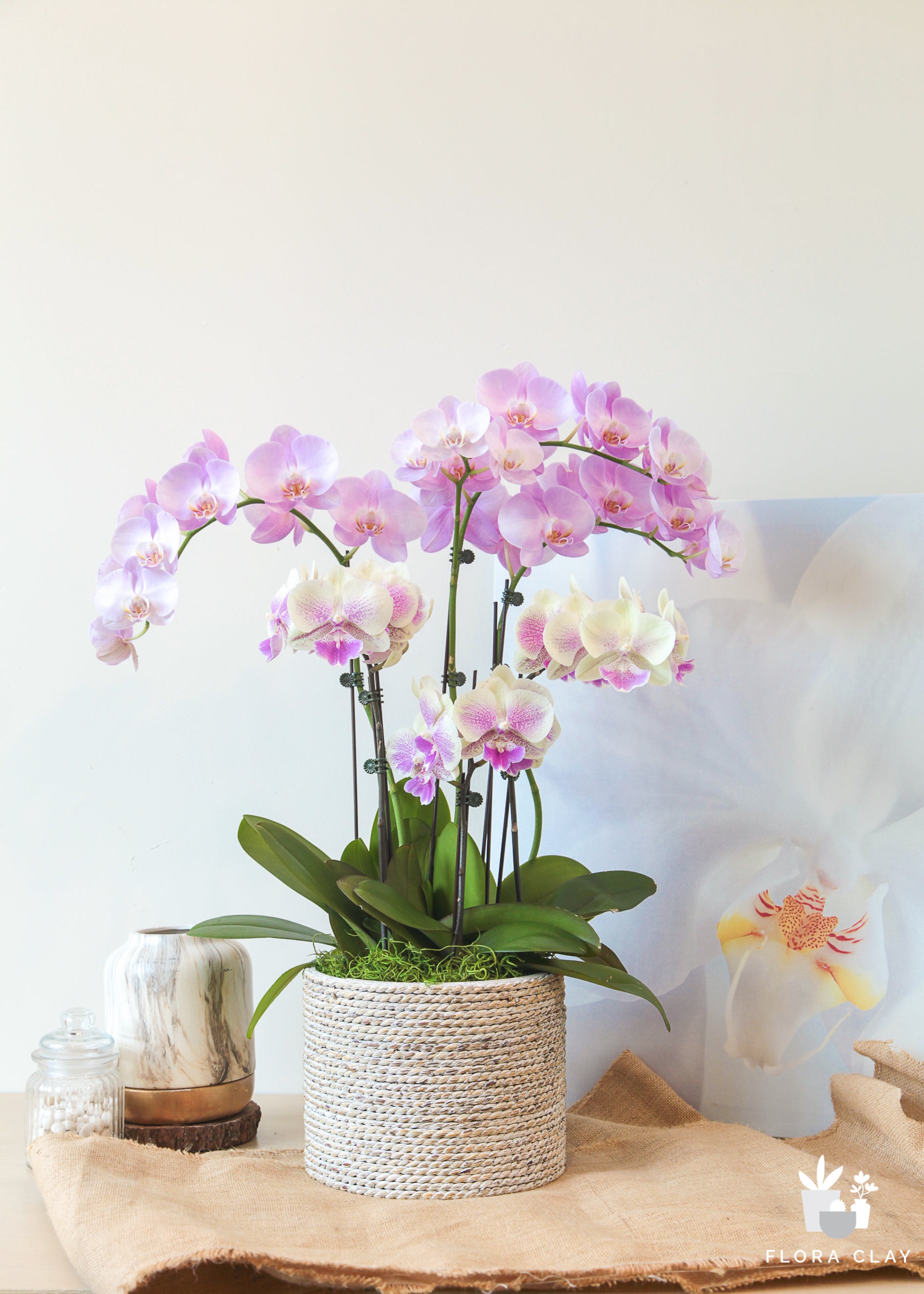 lip-balm-orchid-arrangement-floraclay-1.jpg