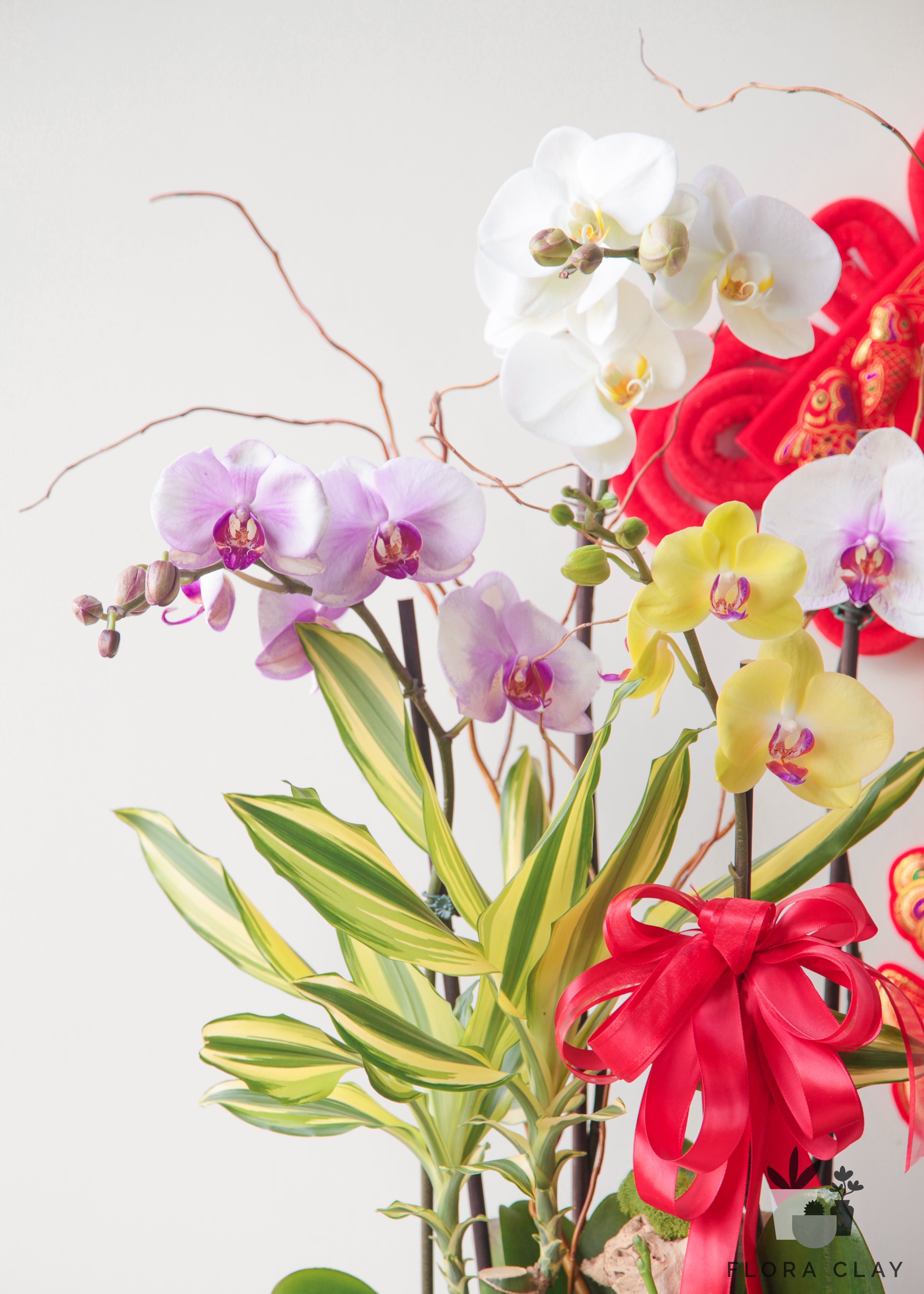 lucky-basket-orchid-arrangement-floraclay-2.jpg