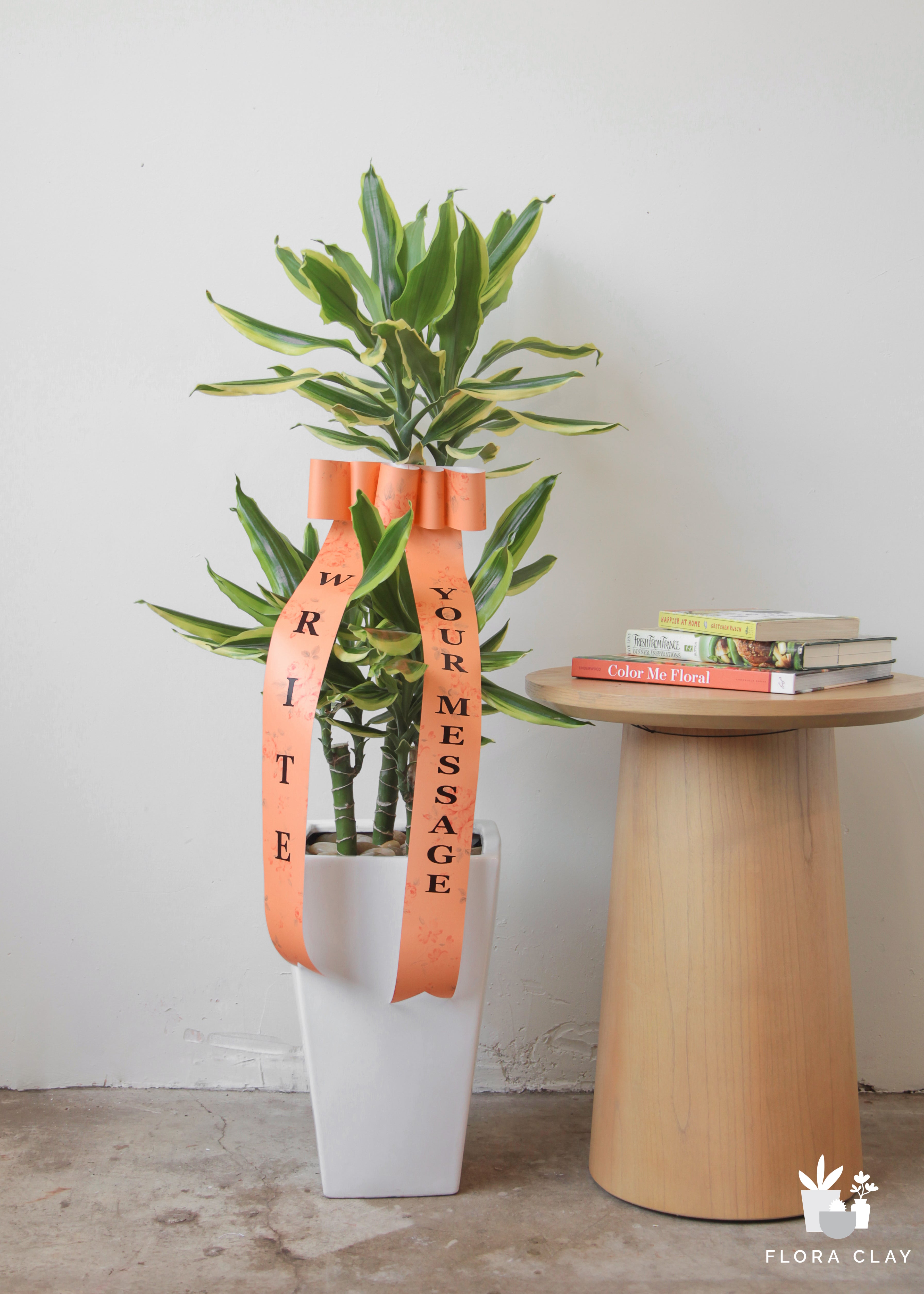miss-lemon-plant-arrangement-floraclay-ribbon.jpg