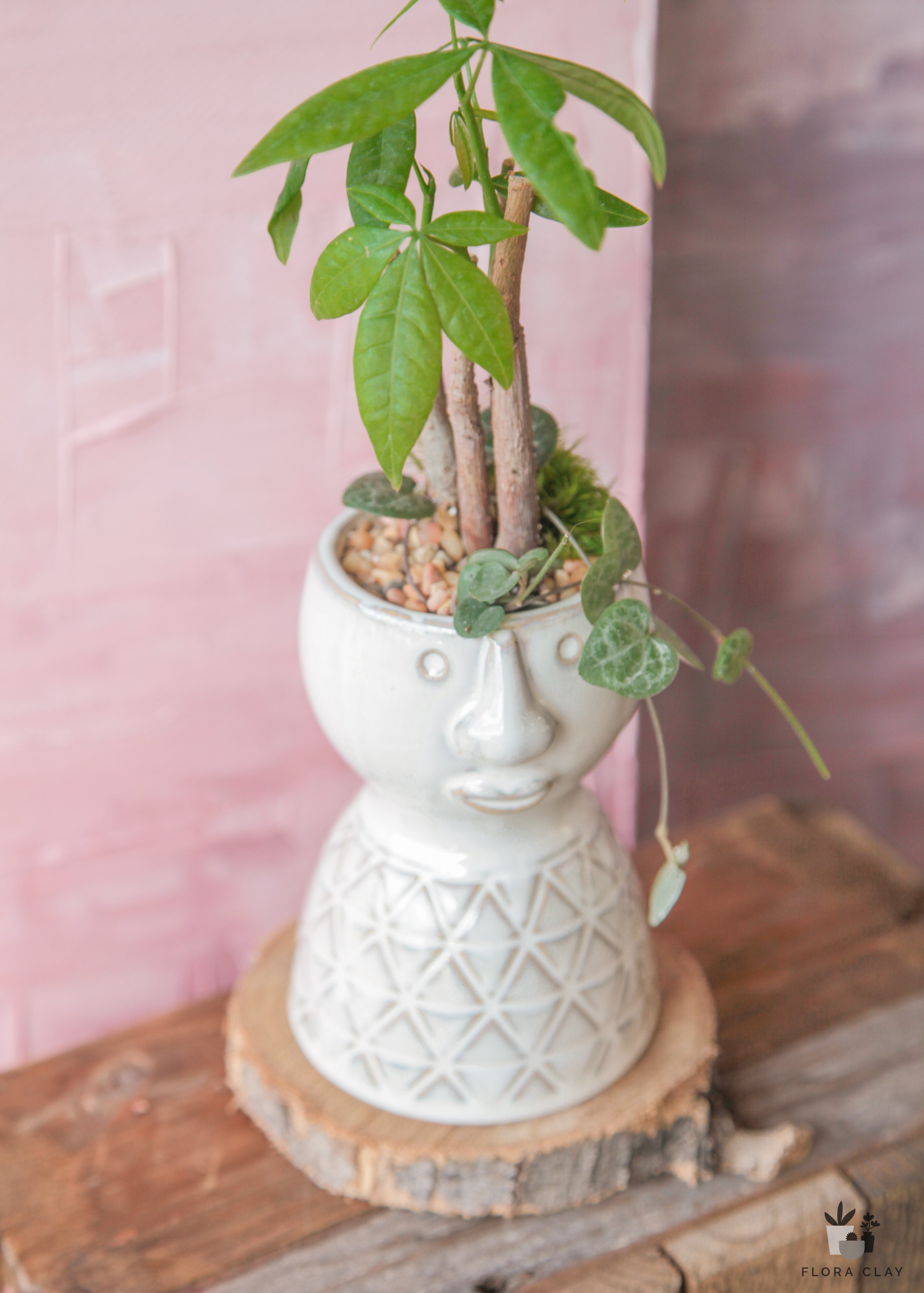 money-head-plant-arrangement-floraclay-2.jpg