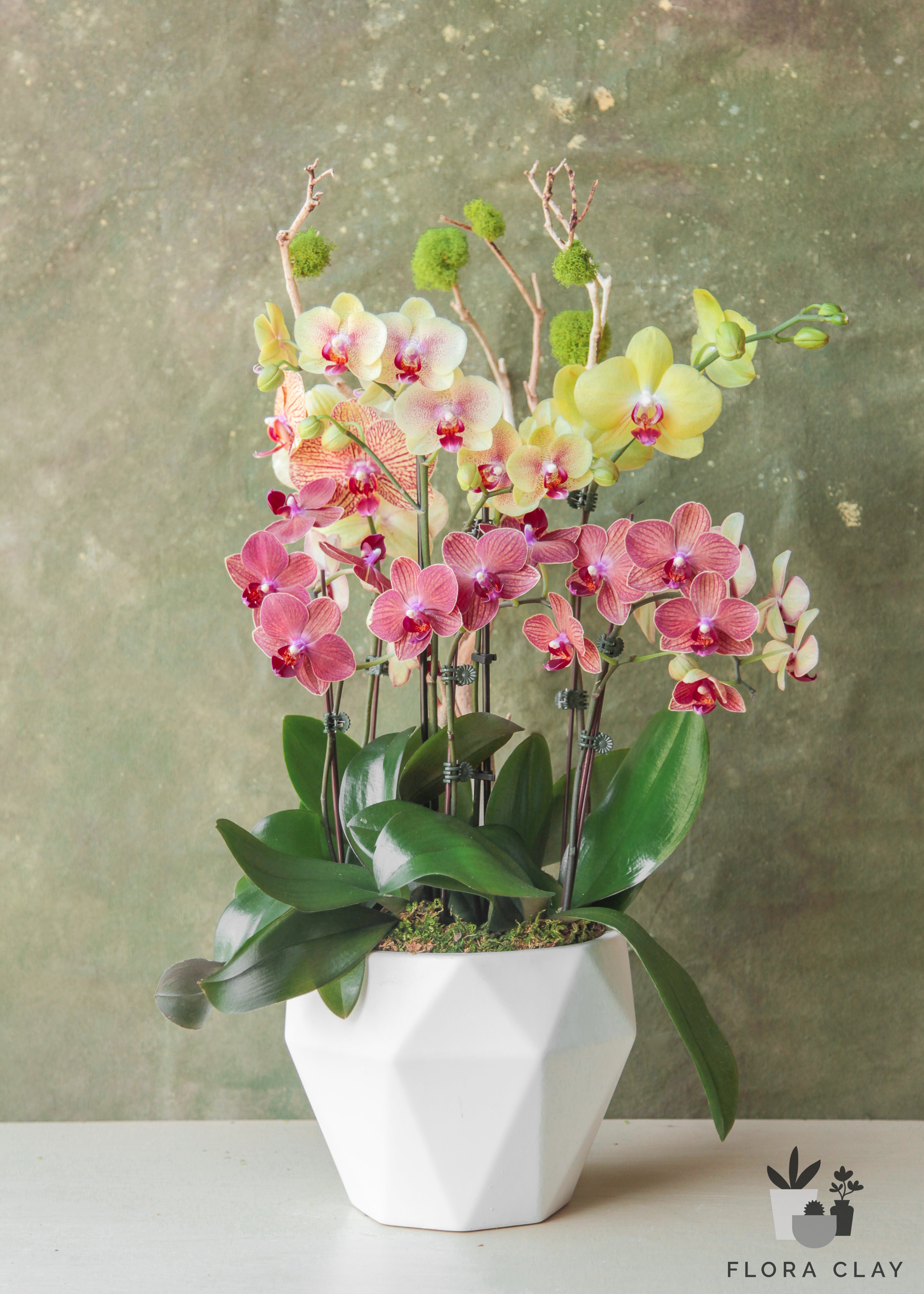 mosaic-orchid-arrangement-floraclay-1.jpg